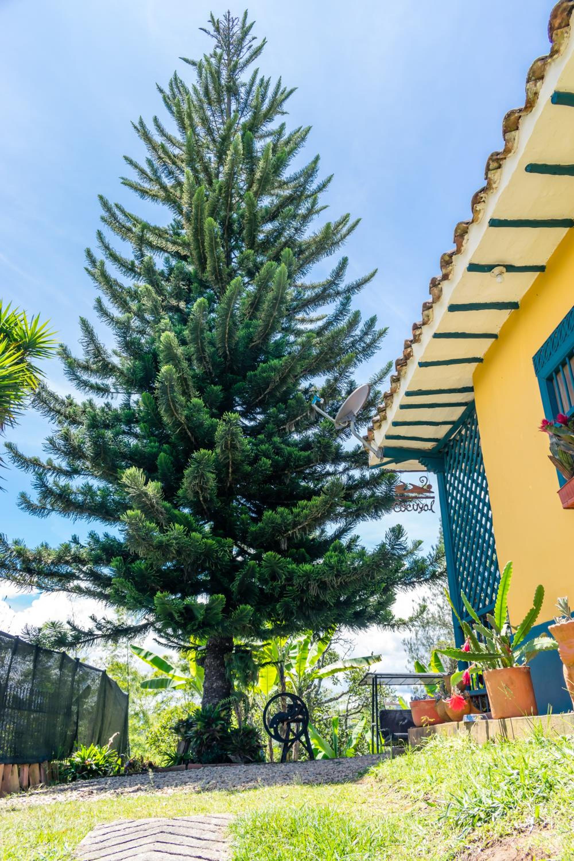 FINCA COCUYAL Hospedaje típico paisa