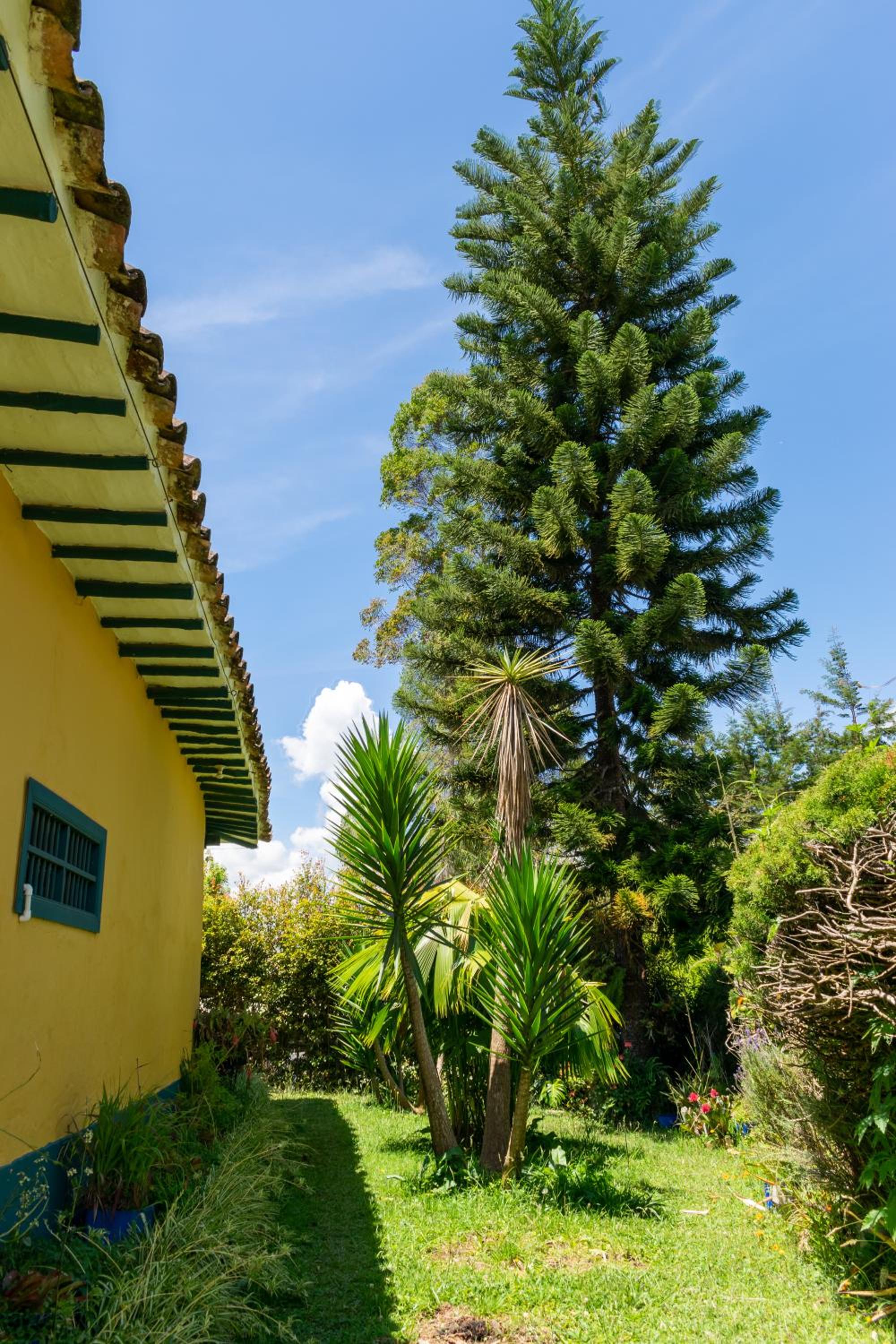 FINCA COCUYAL Hospedaje típico paisa