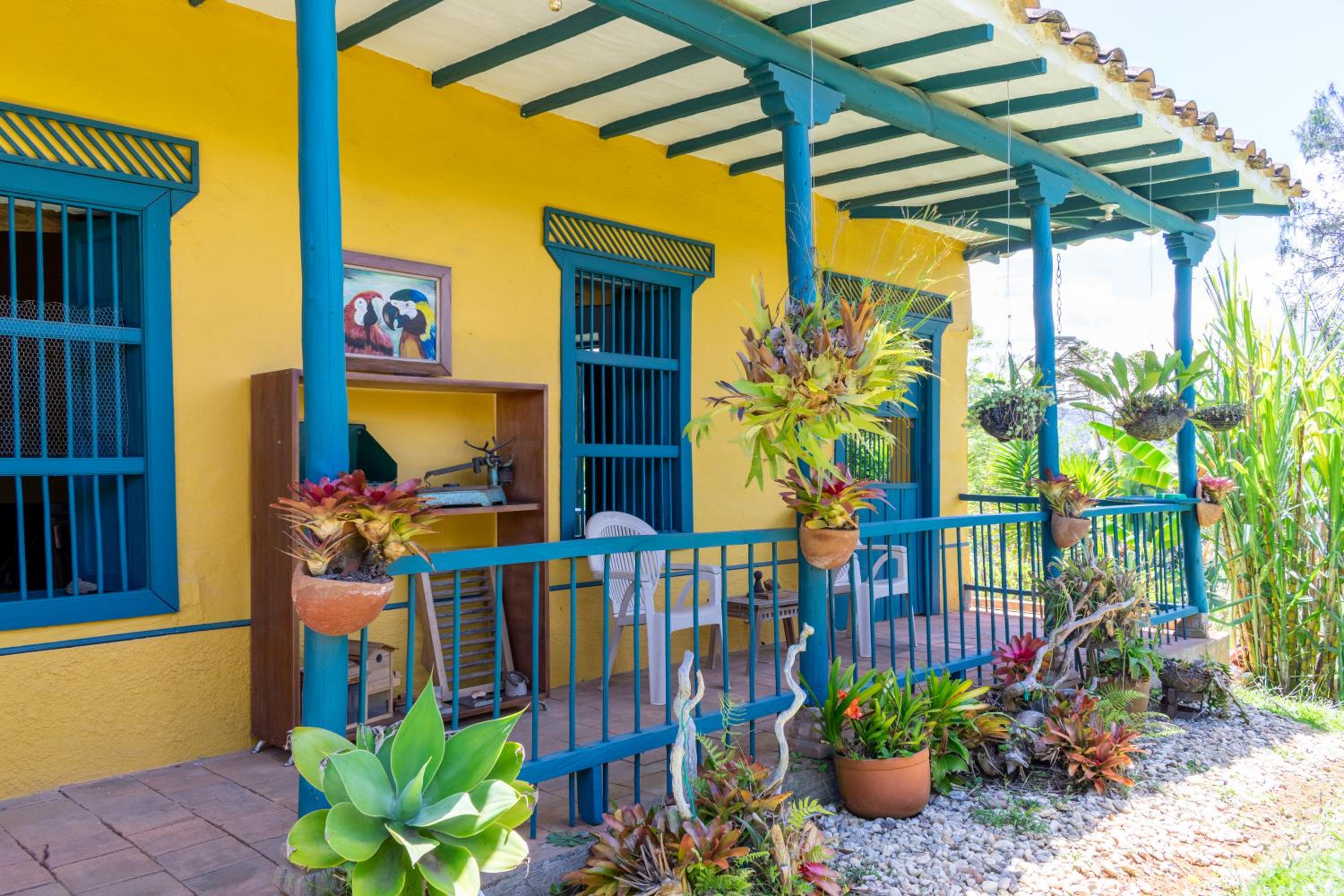 FINCA COCUYAL Hospedaje típico paisa