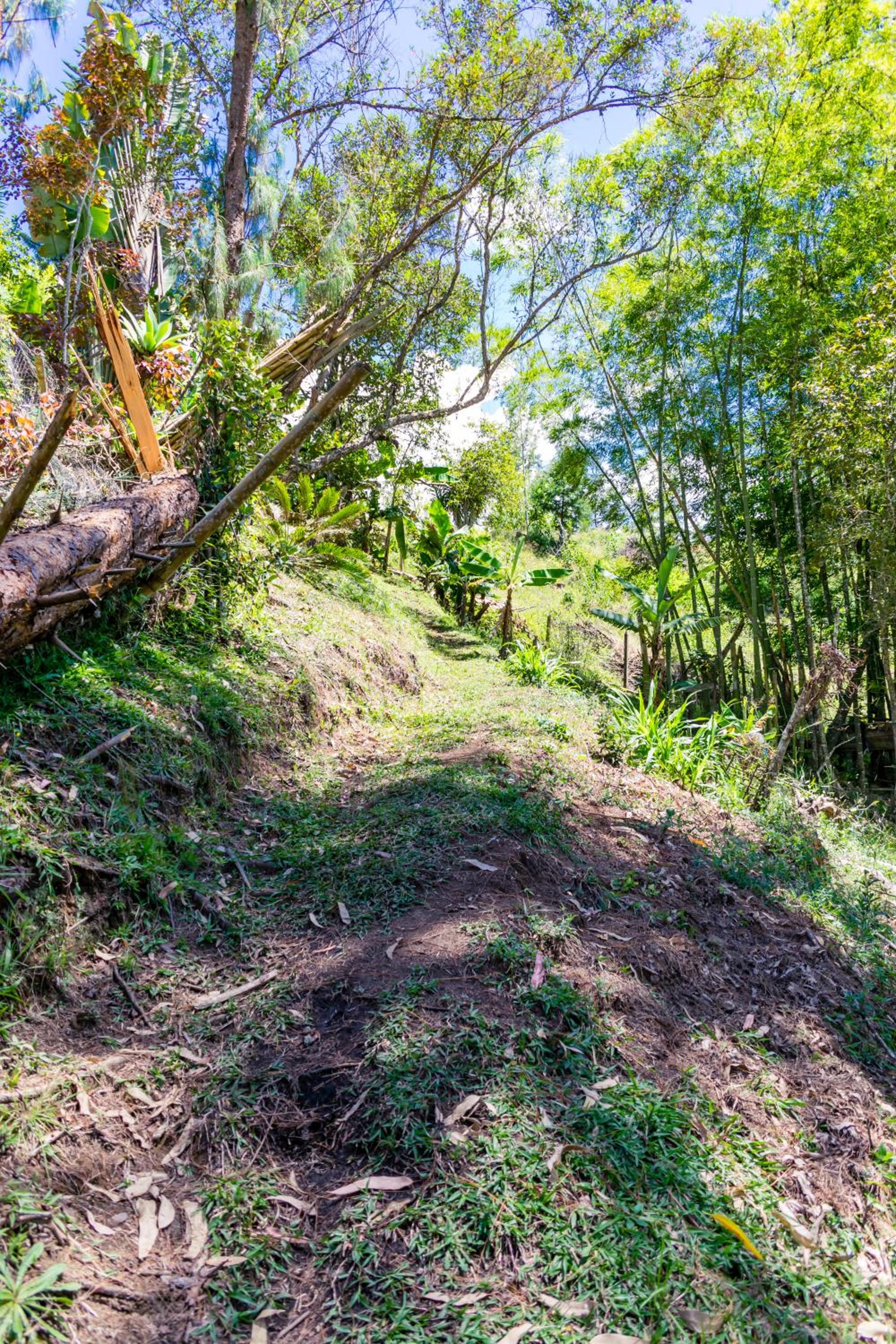 FINCA COCUYAL Hospedaje típico paisa