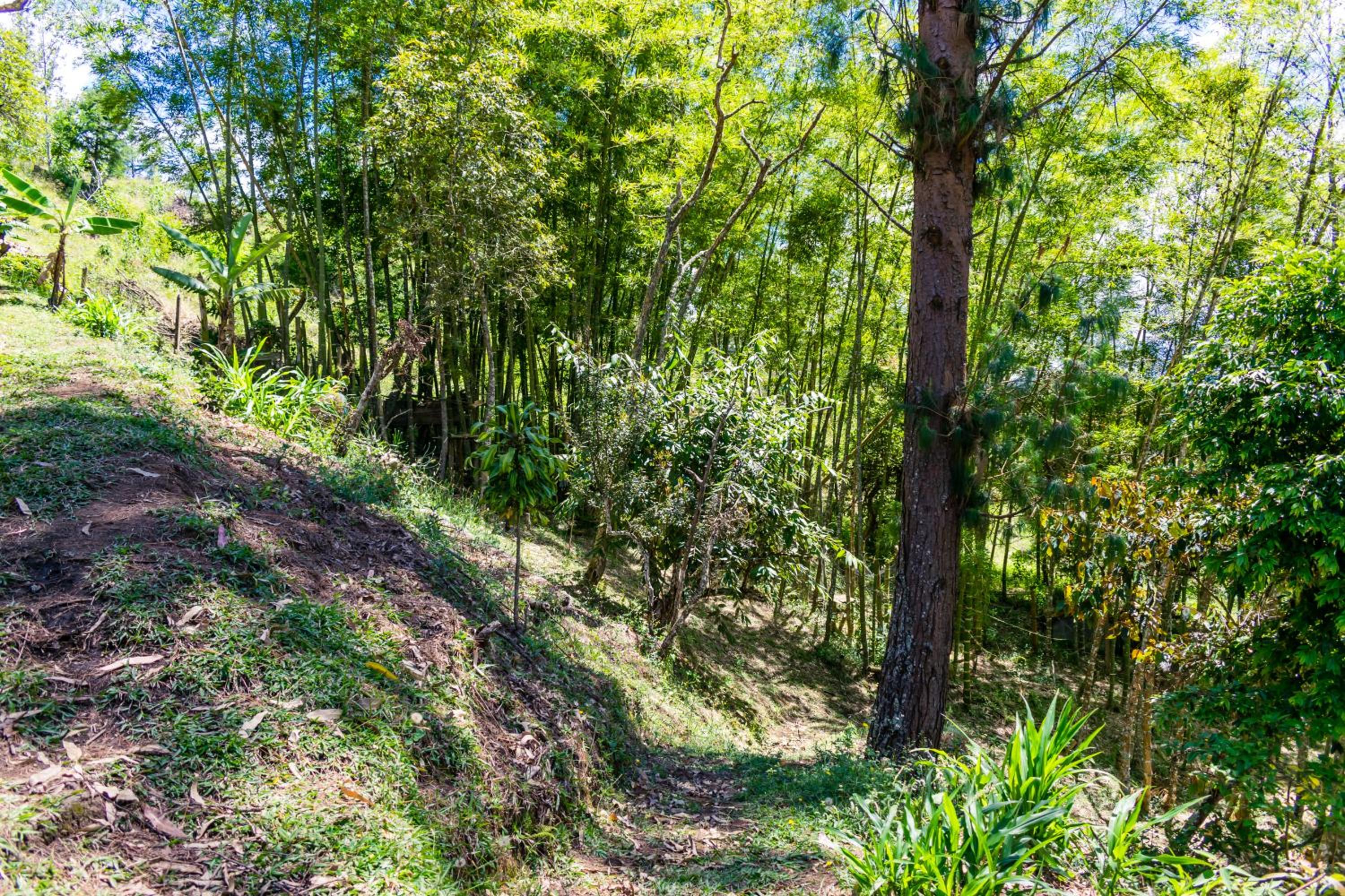 FINCA COCUYAL Hospedaje típico paisa