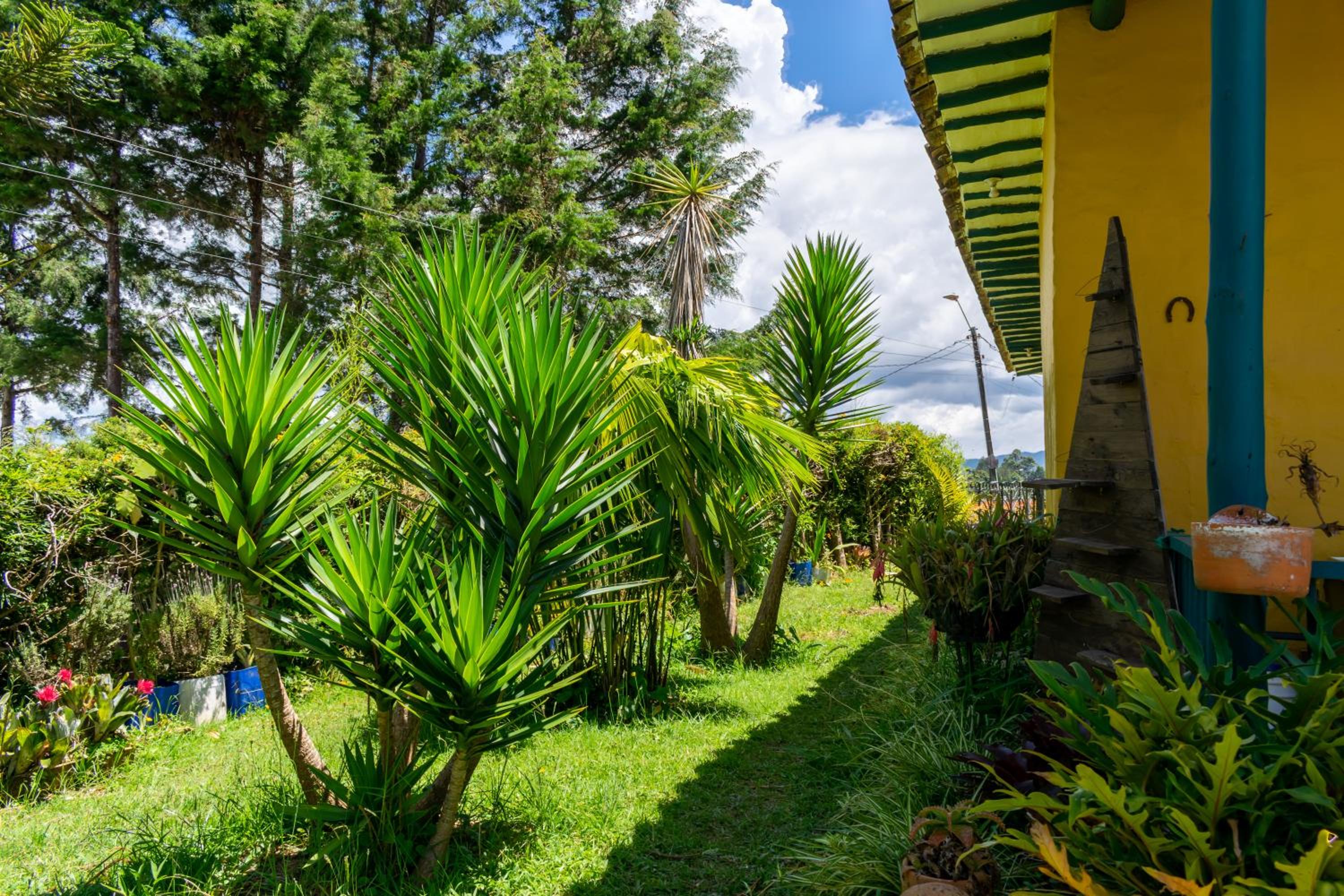 FINCA COCUYAL Hospedaje típico paisa