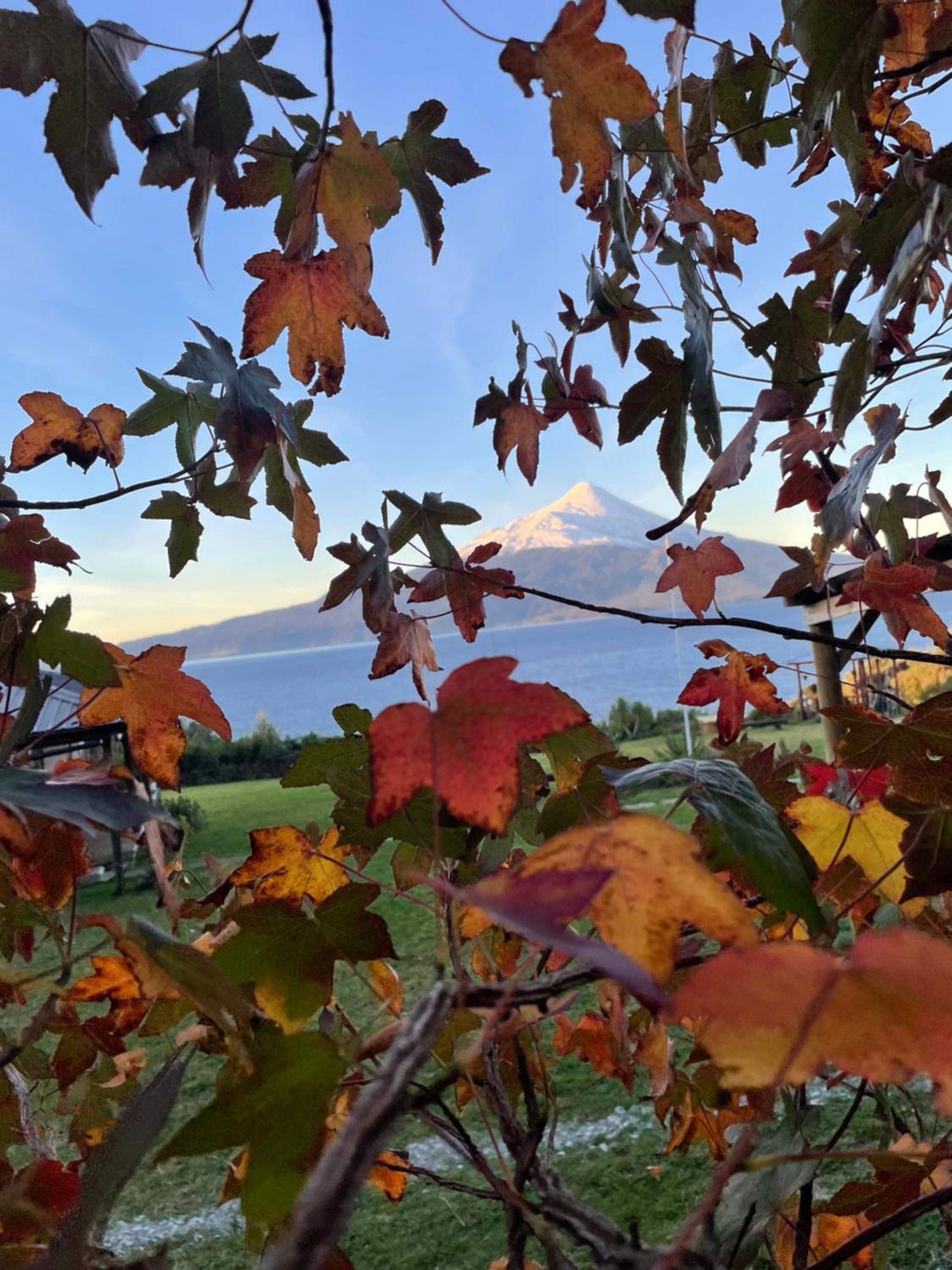 Casa EL CIERVO, Los Riscos, Puerto Varas