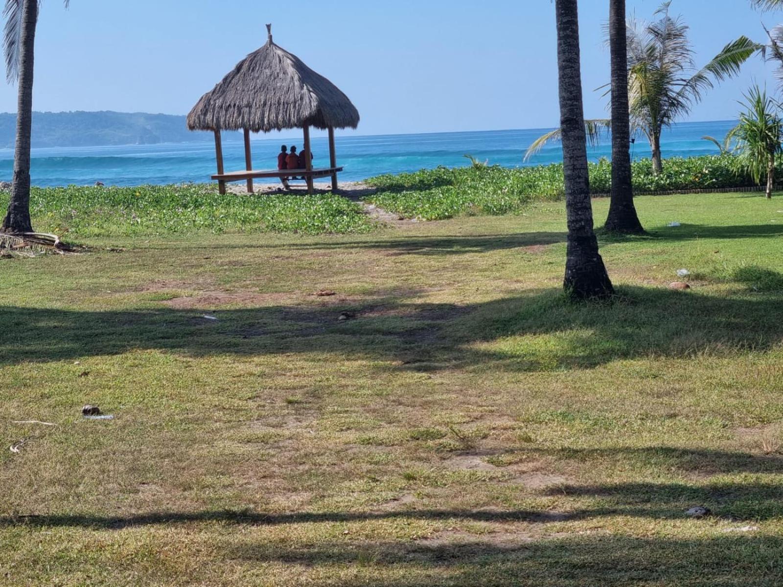 Photo 51