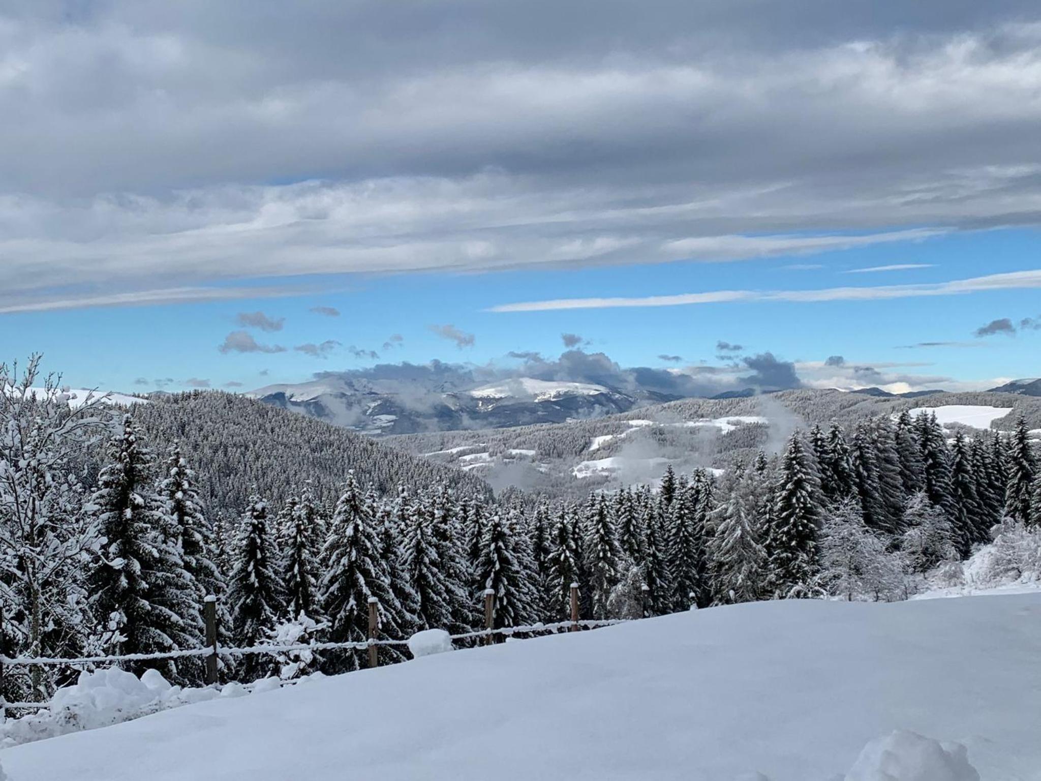 Forsthaus Gray 4