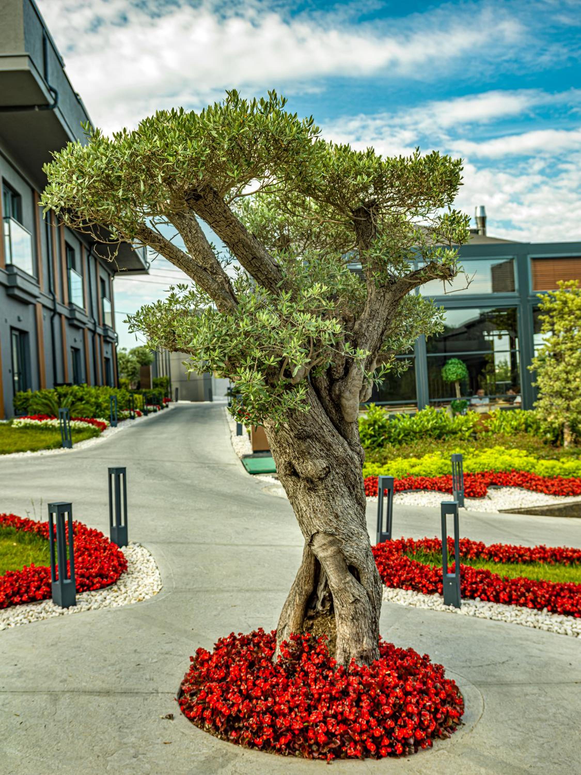 MENALO PREMIUM İSTANBUL HAVAALANI OTEL - Image 80