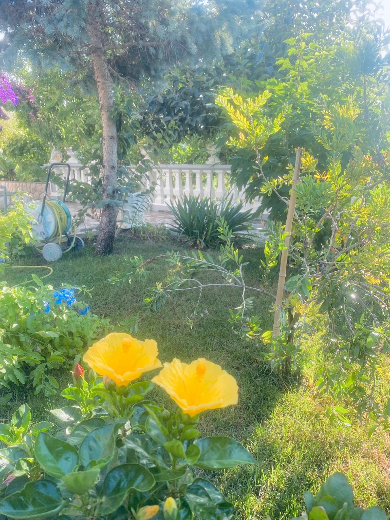 Apartmani Rab view 3