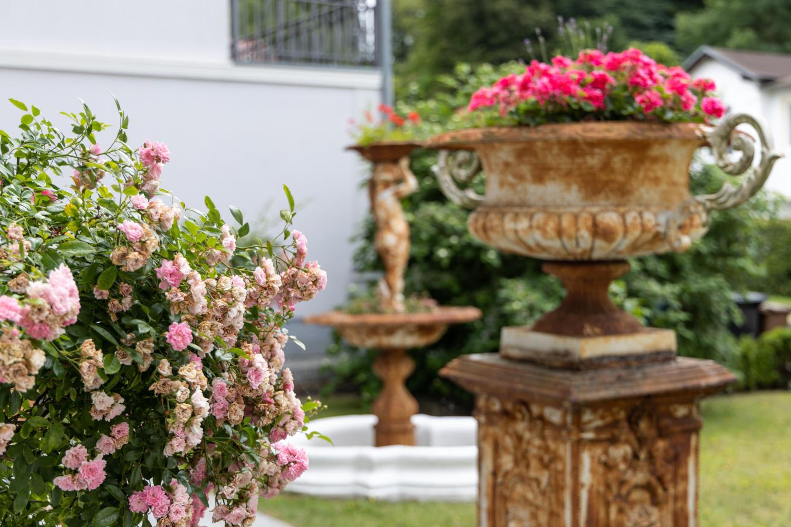 Glücksoase - Villa Bella Rosa