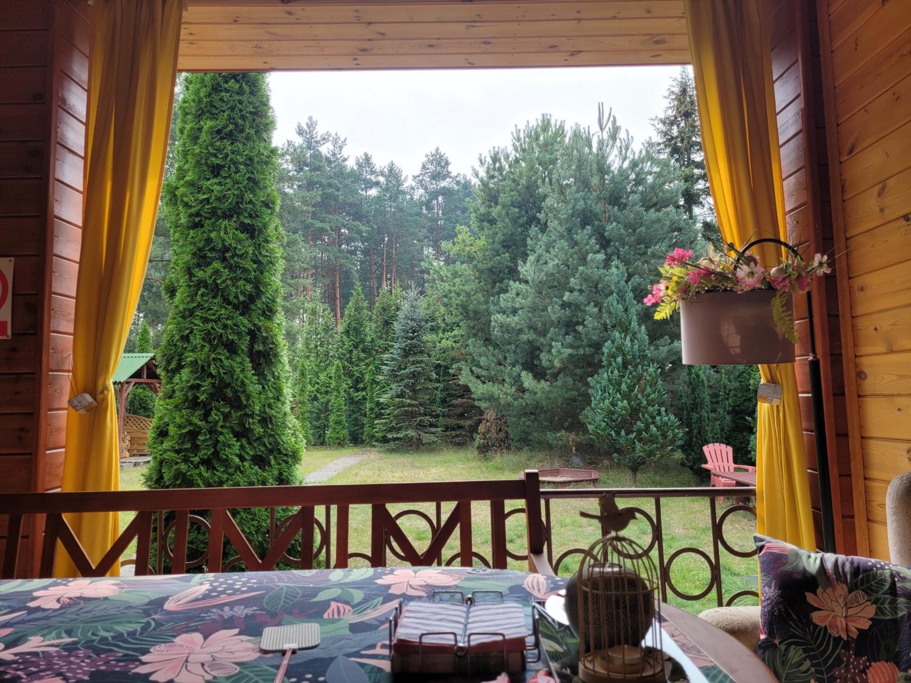 Zielony Domek - Tleń Bory Tucholskie view 4