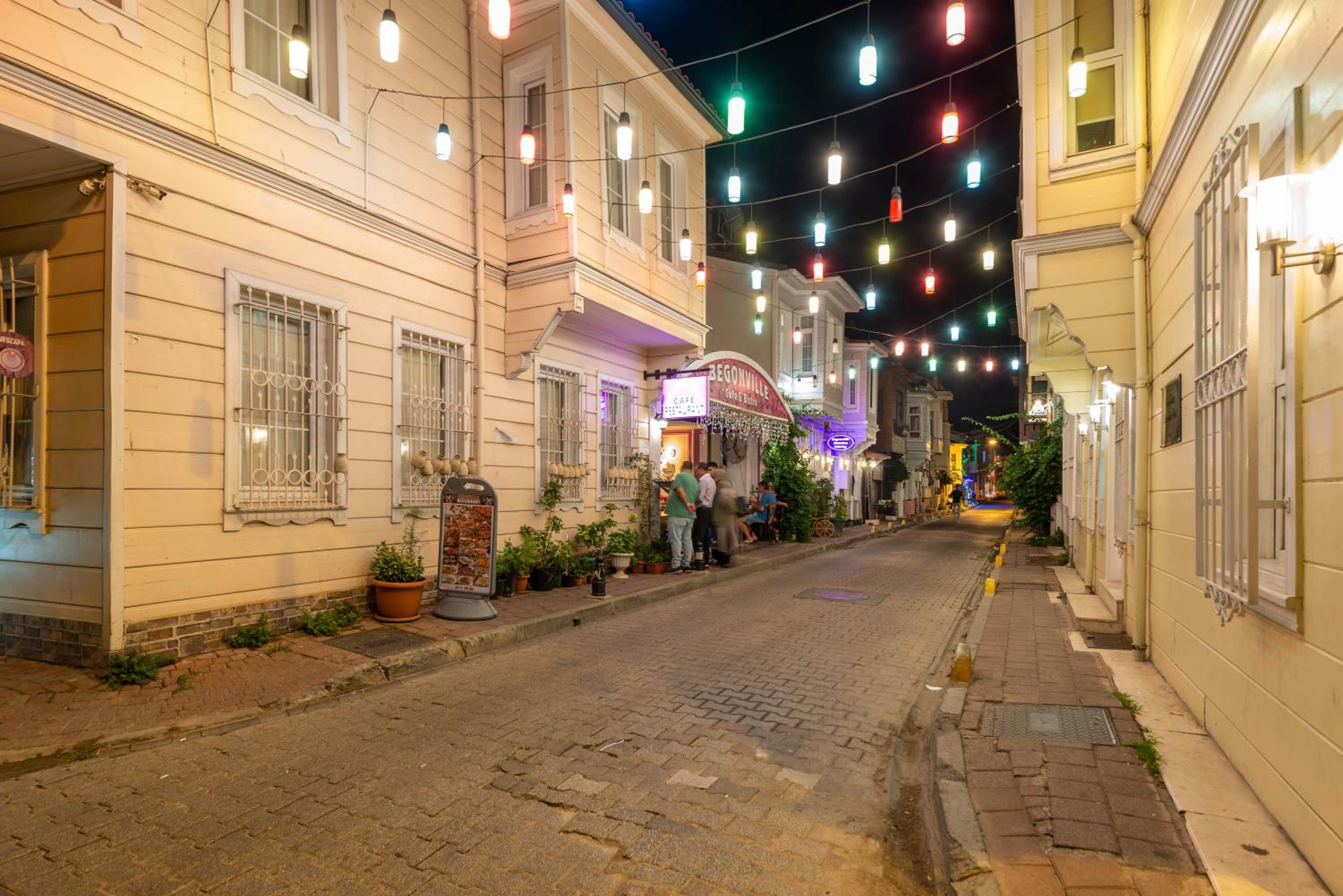 Begonville Mansion Eski Şehir - Image 110