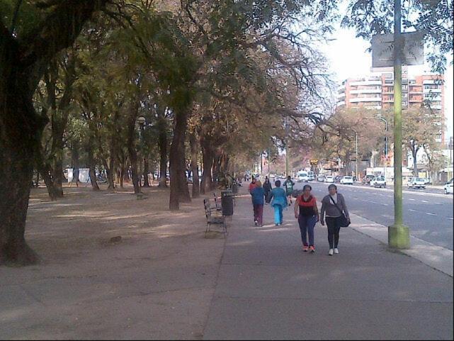 BAJOS de AMADOR