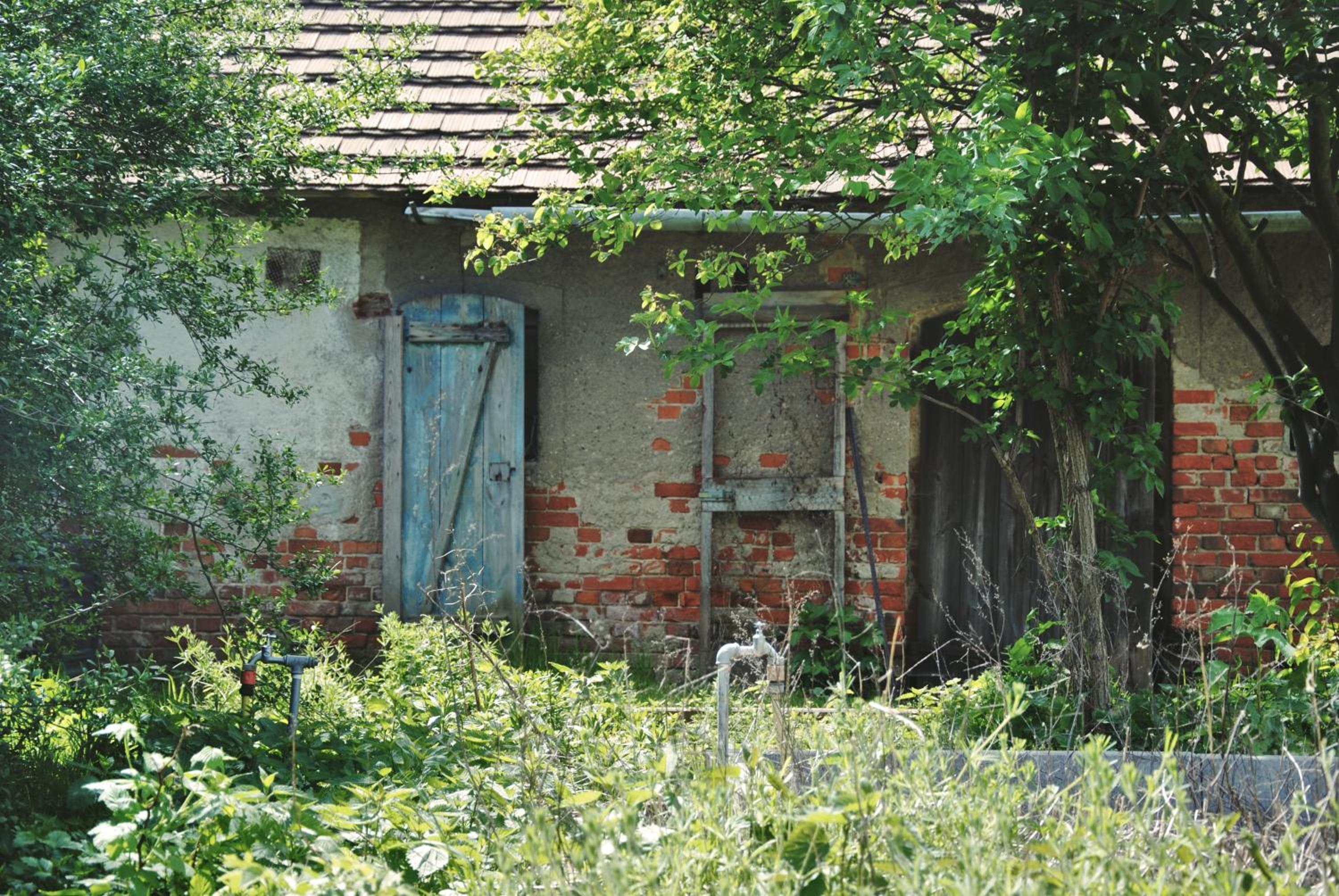 Ferienhaus Erna