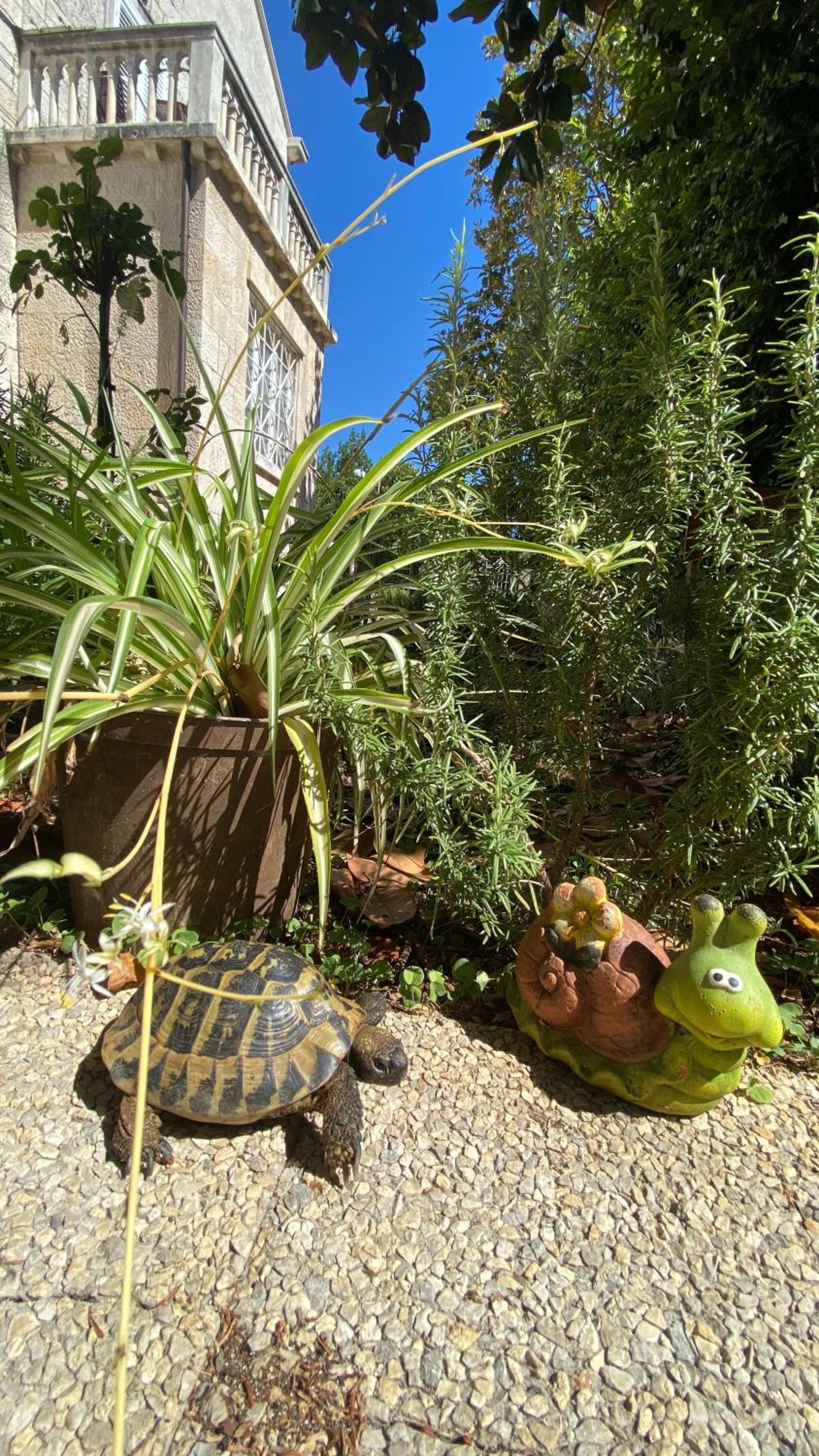 Guest House Vila Micika Dubrovnik