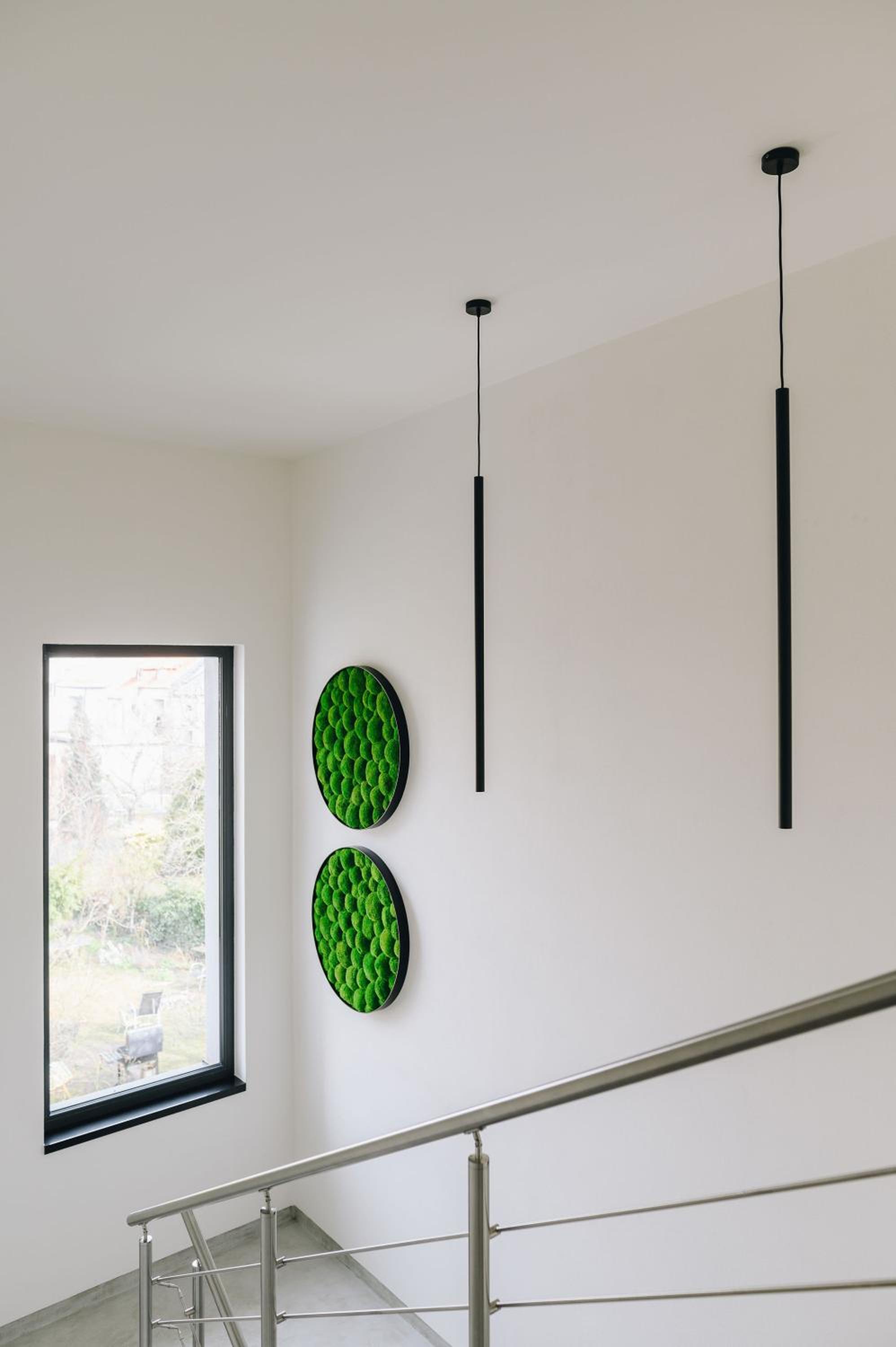 Executive Apartments Taborska view 2