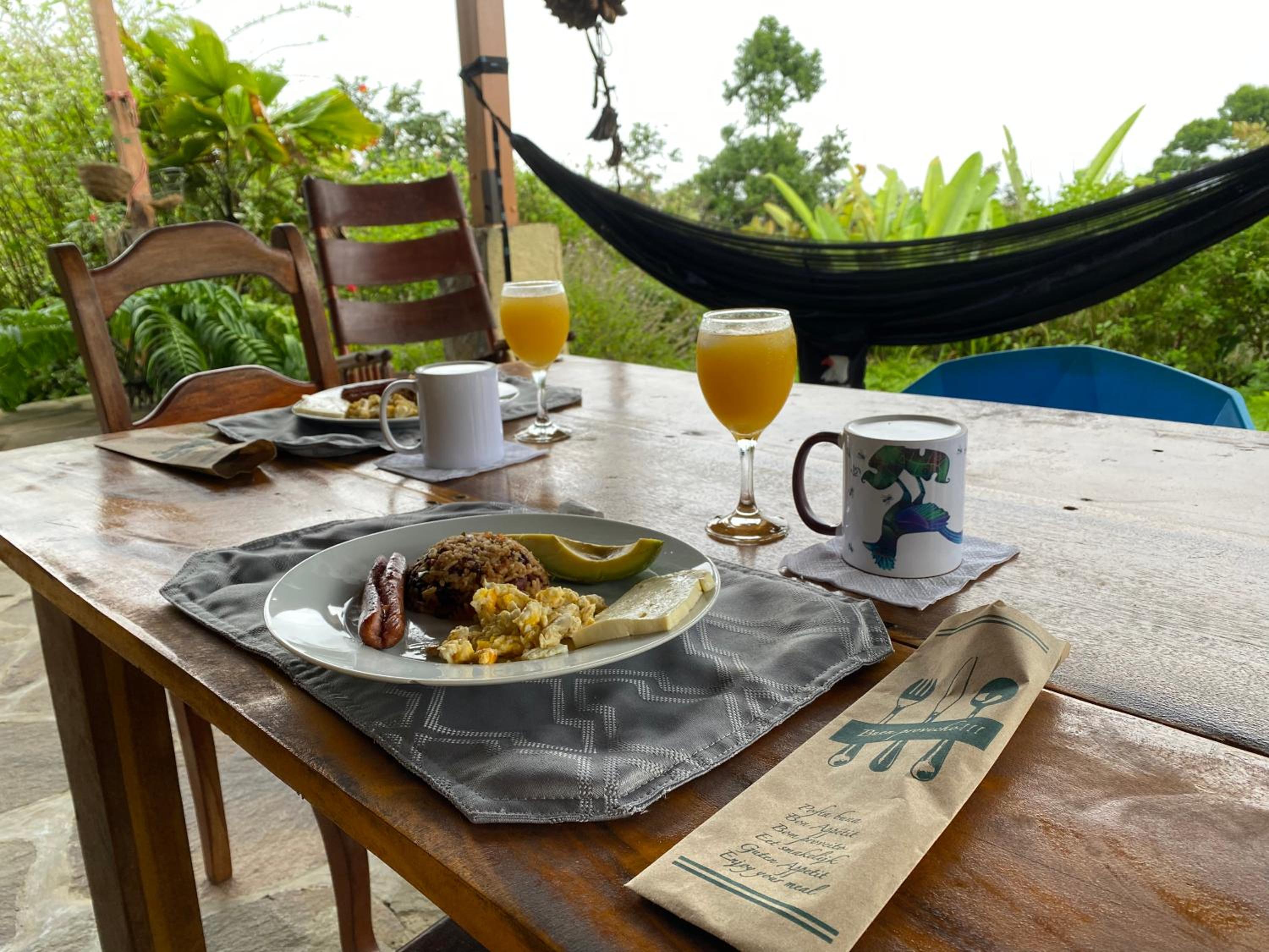 Birds & Breakfast Costa Rica