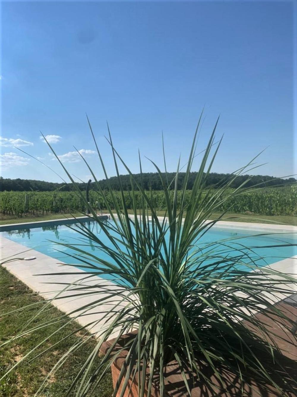 Podere Casanova & Wine Experience - Montepulciano view 4