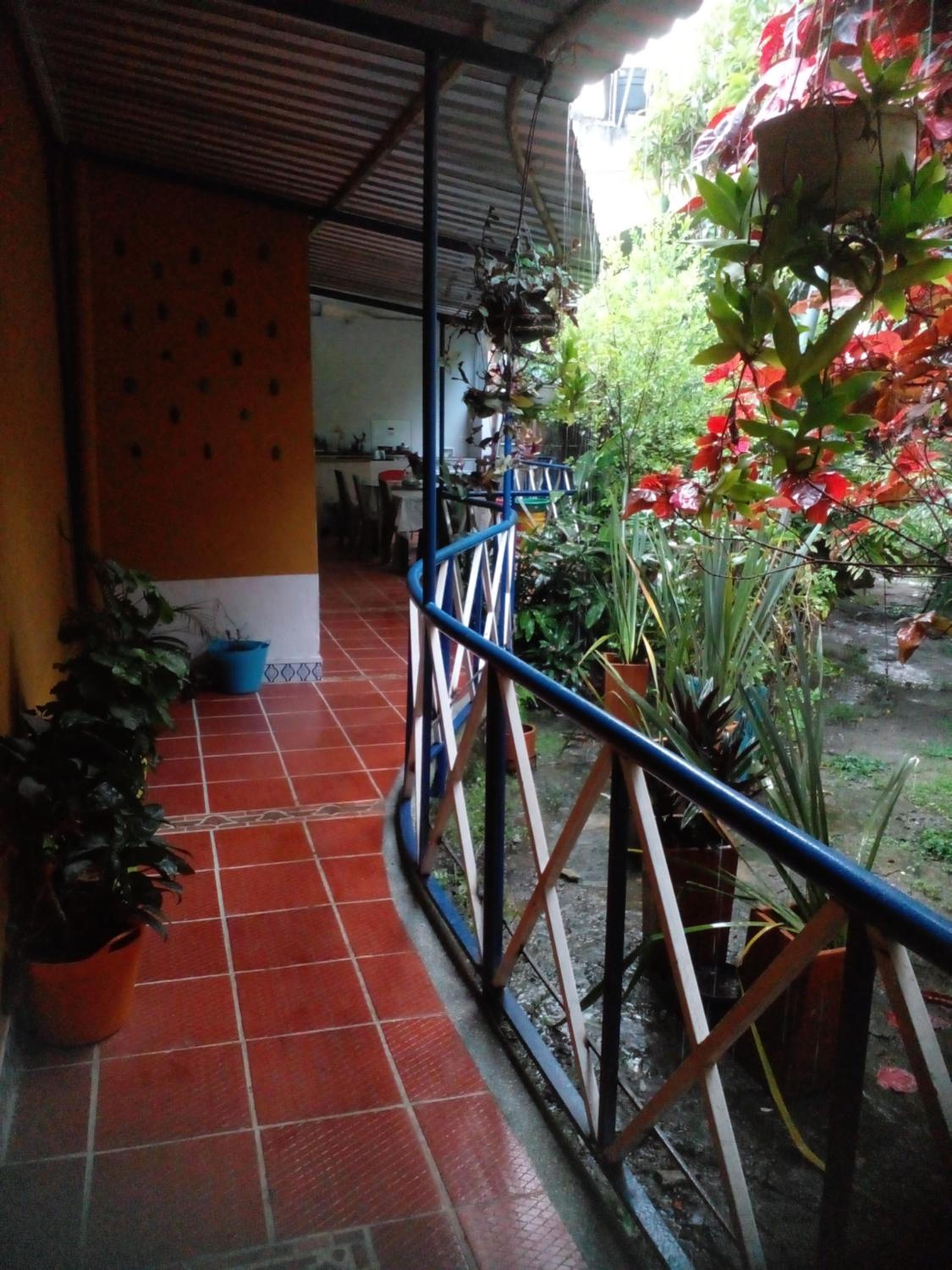Photo 43