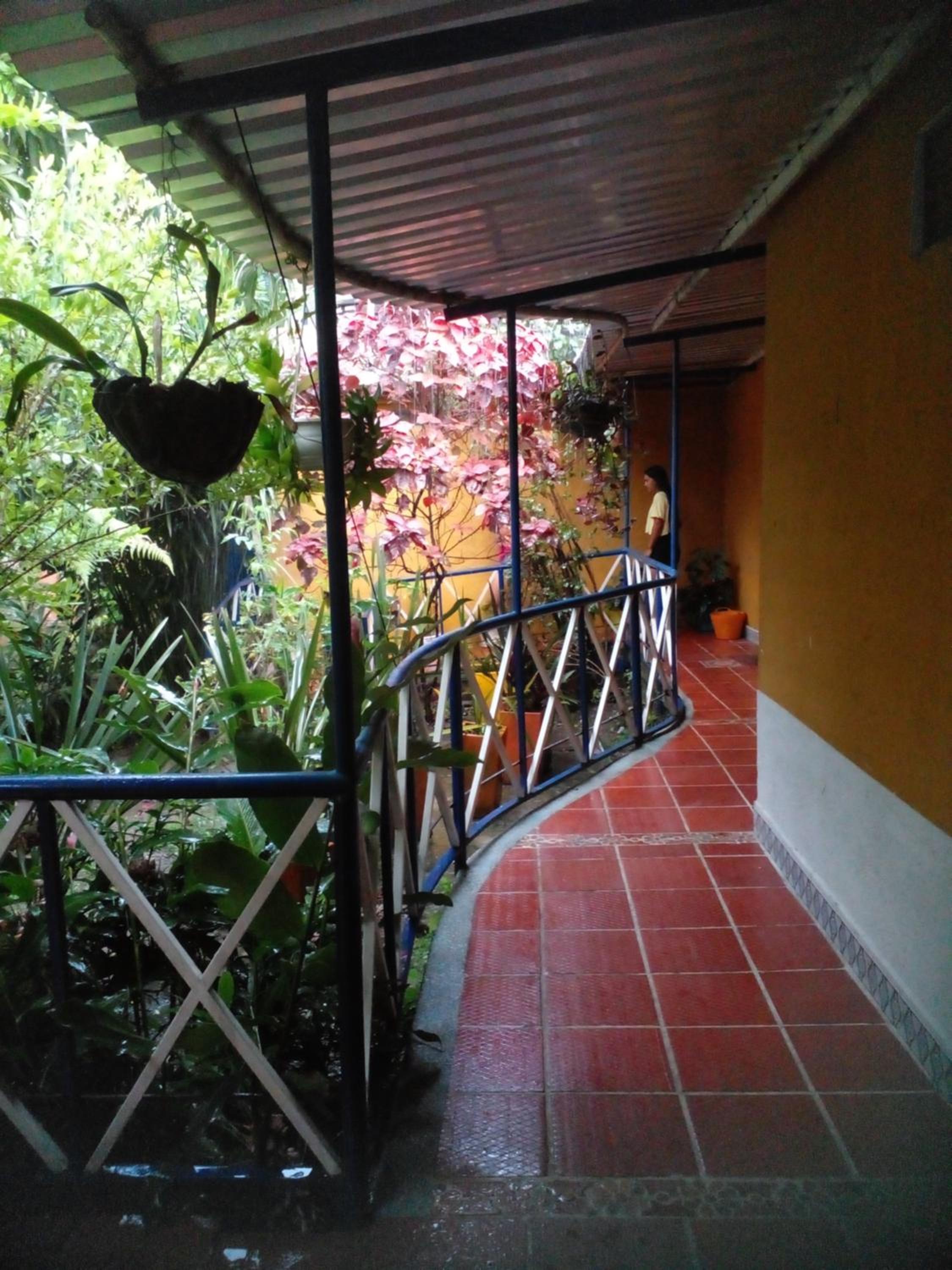 Photo 42