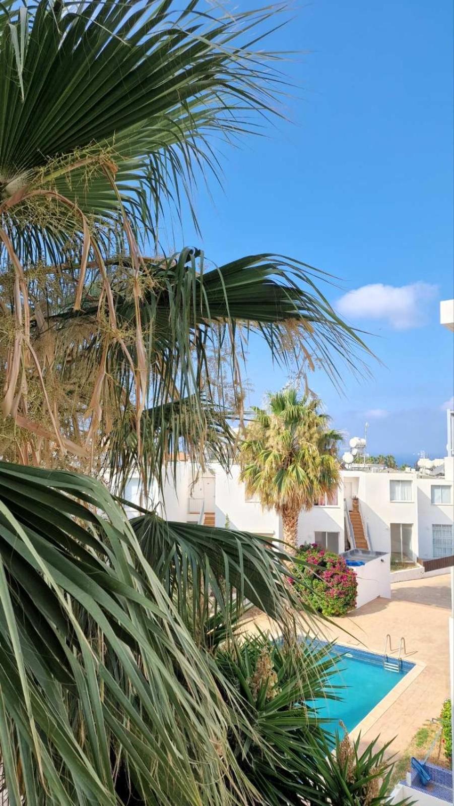 Sea view 1bed apartment with pool in Peyia B15 view 4