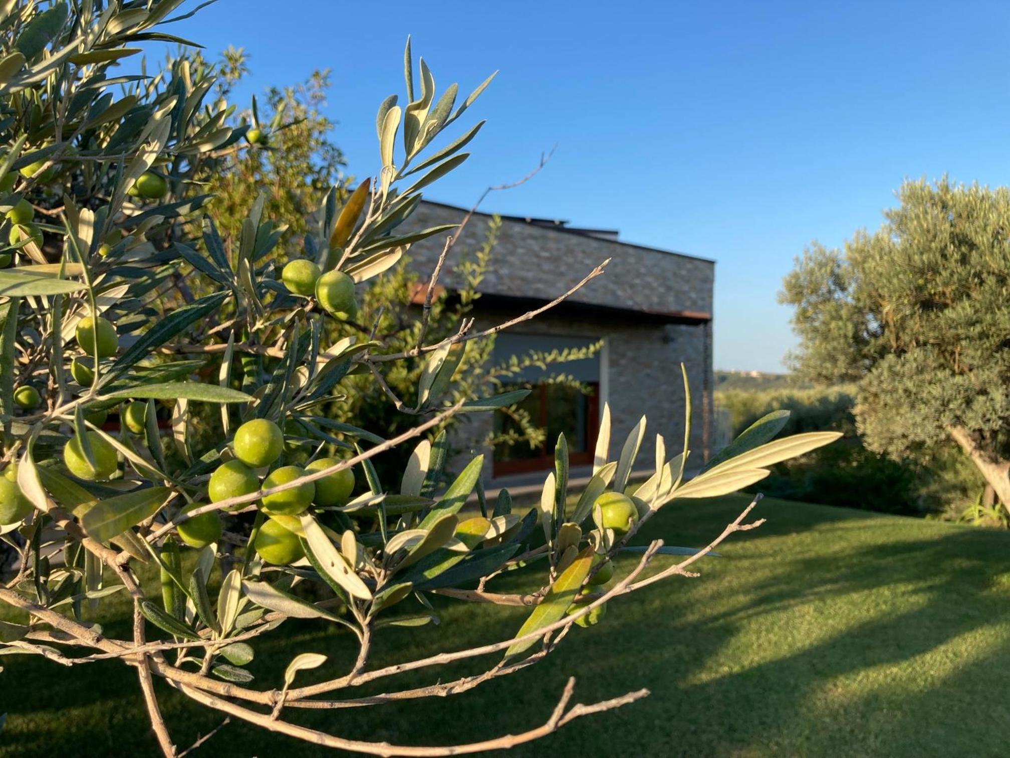 Gioia In Collina