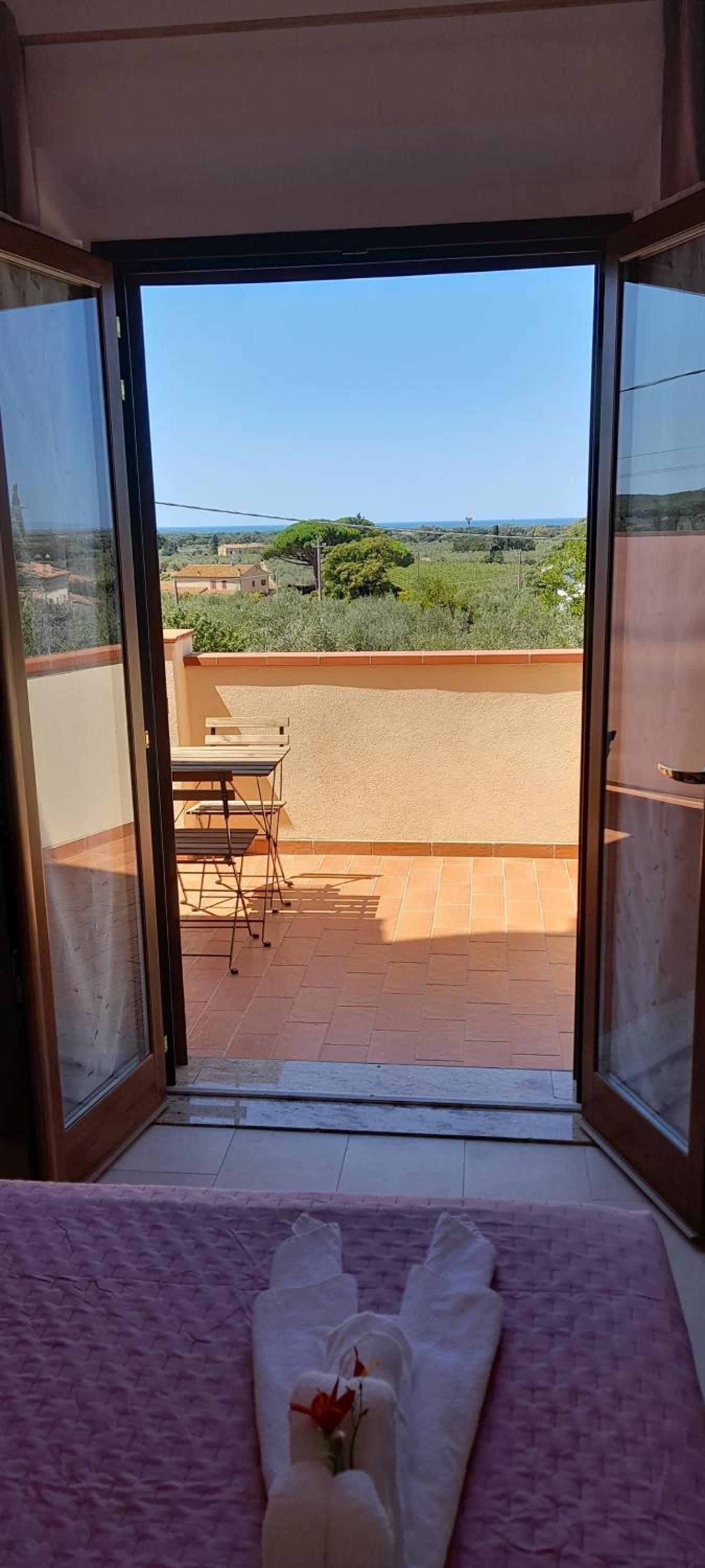 Agriturismo IL VECCHIO OLIVO