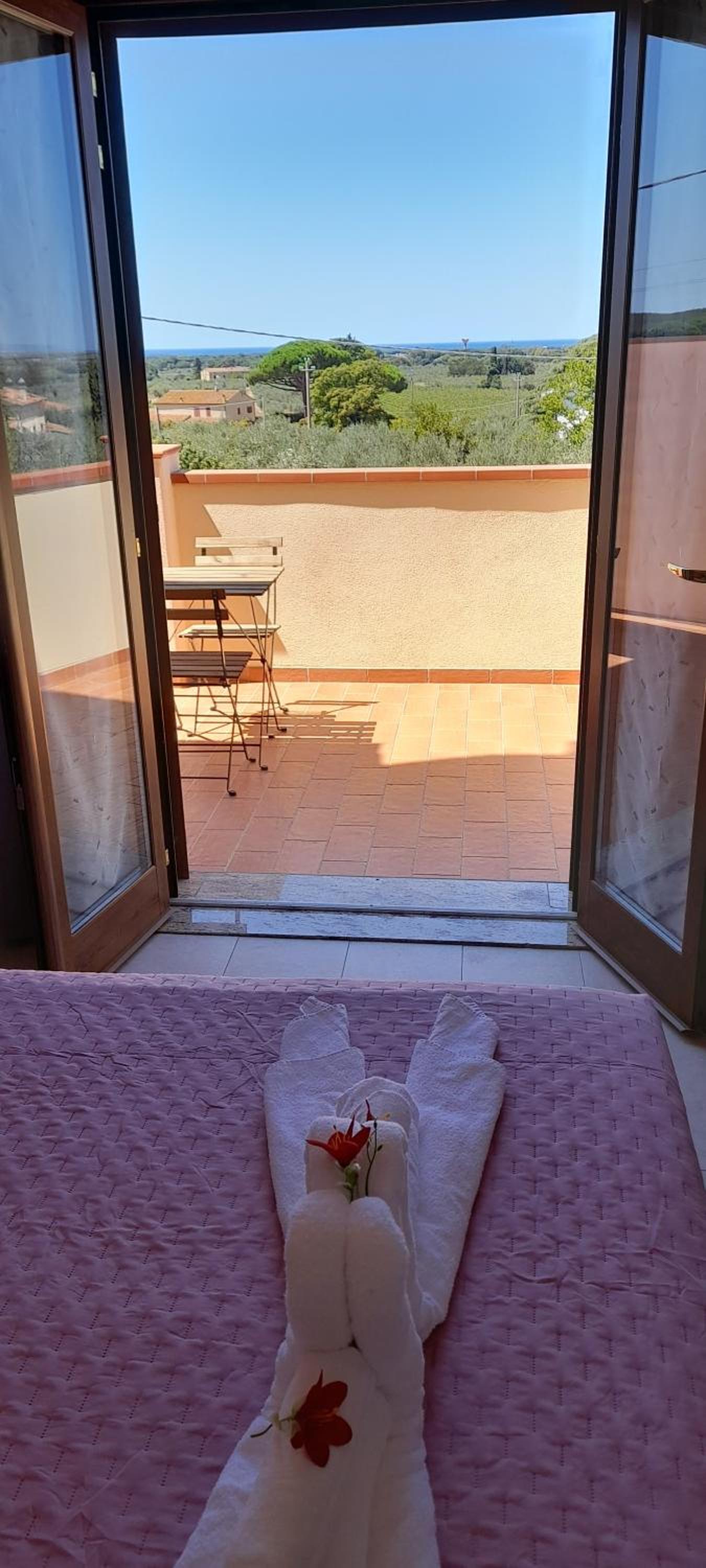 Agriturismo IL VECCHIO OLIVO