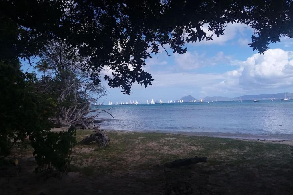 Studio Le Balisier view 2