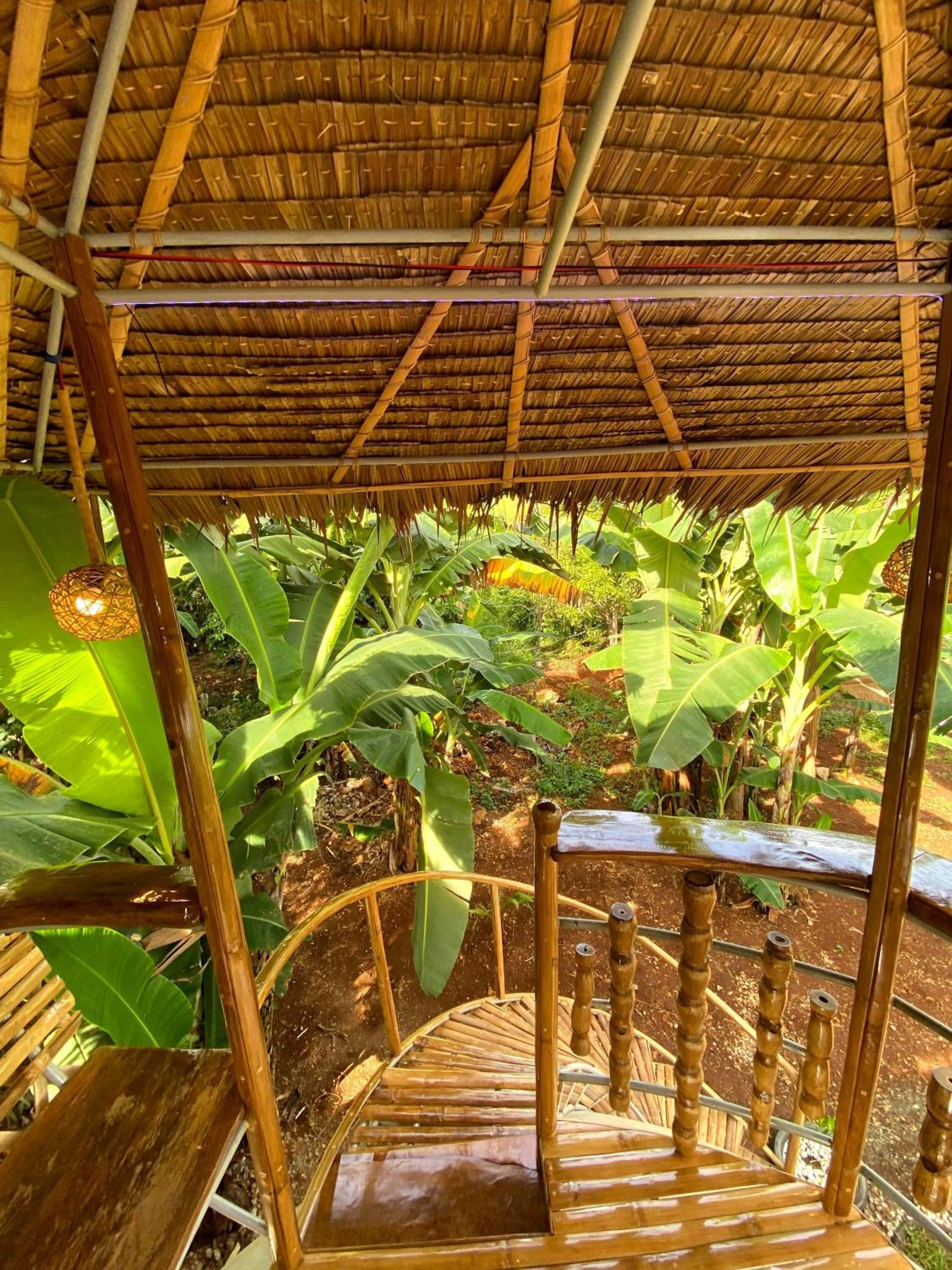 Adorable Dome House view 2