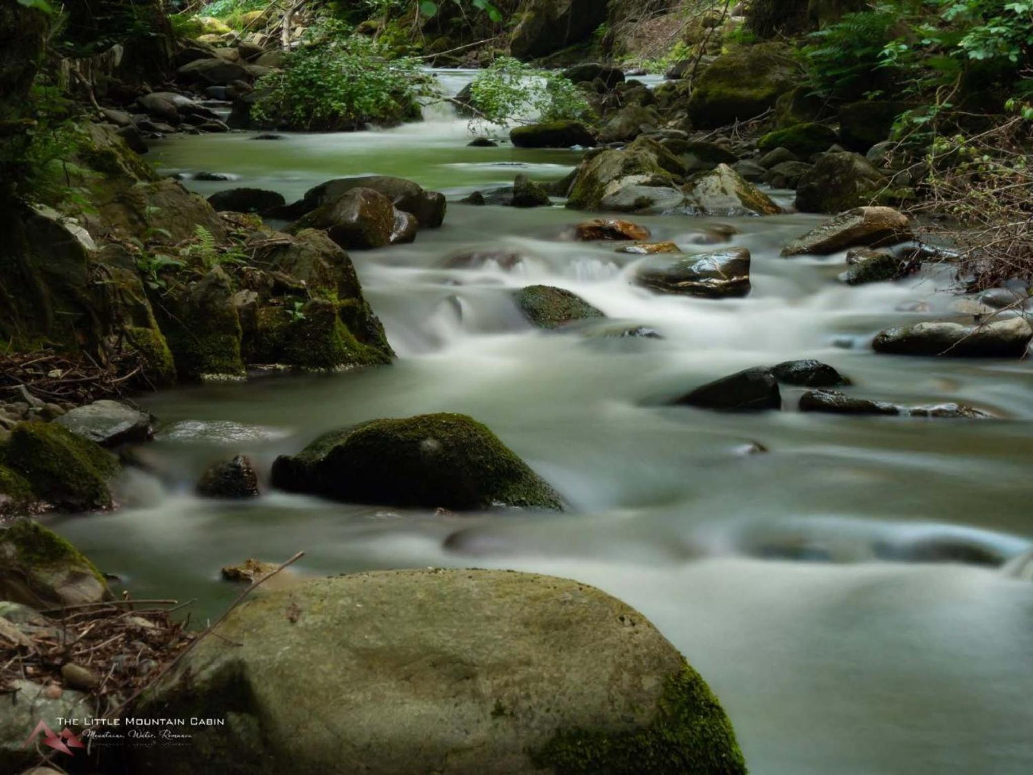 Photo 123