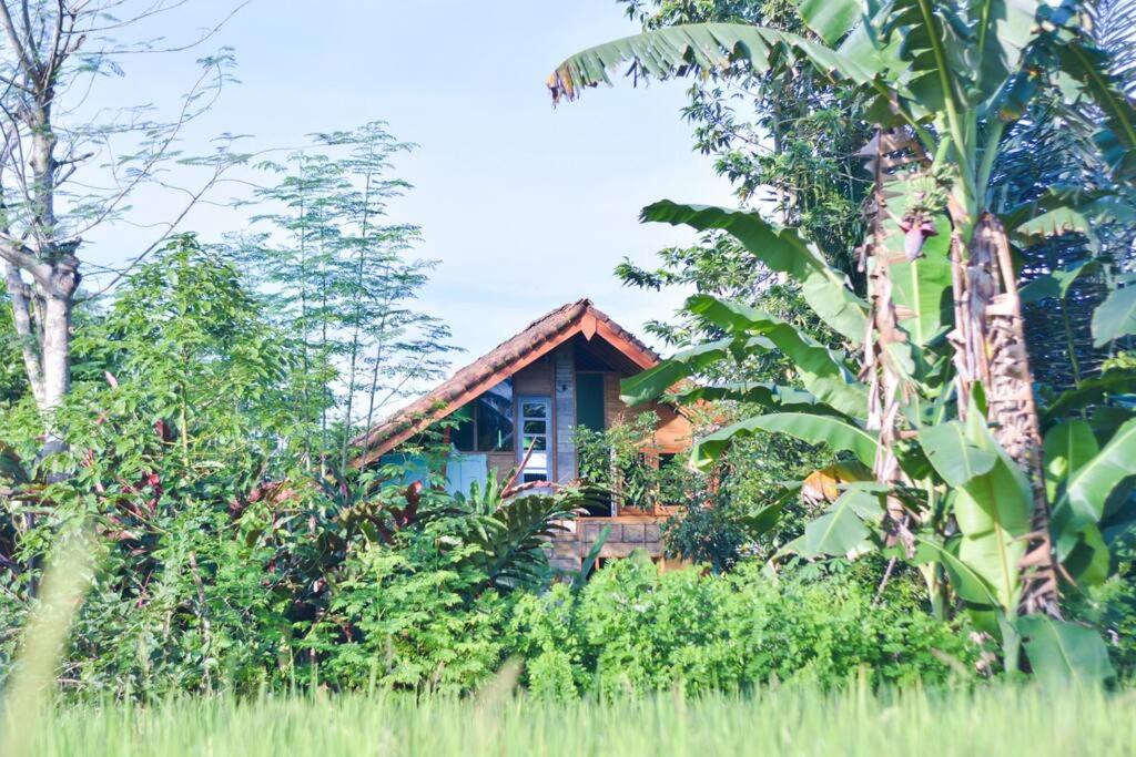 Rumah Wardani view 5