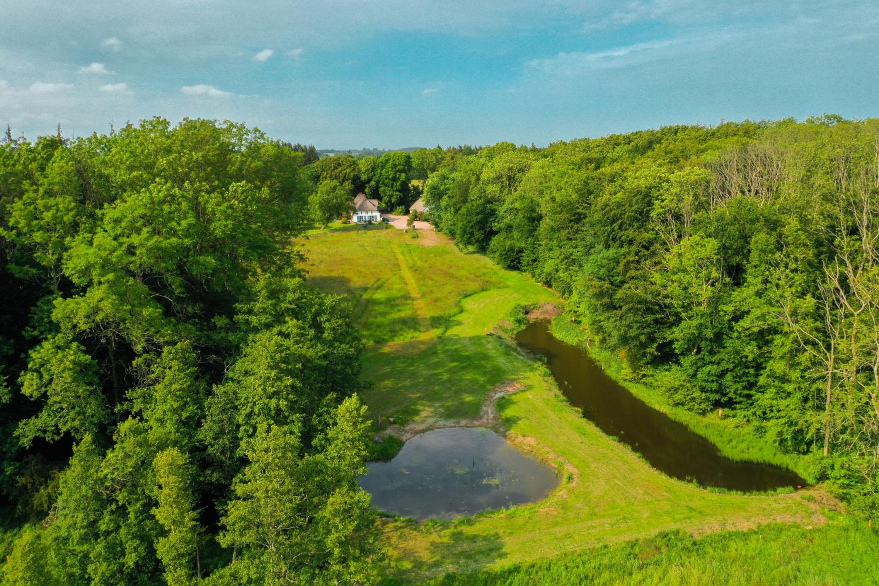 Moorhuus - Paradies am Wilden Moor view 3