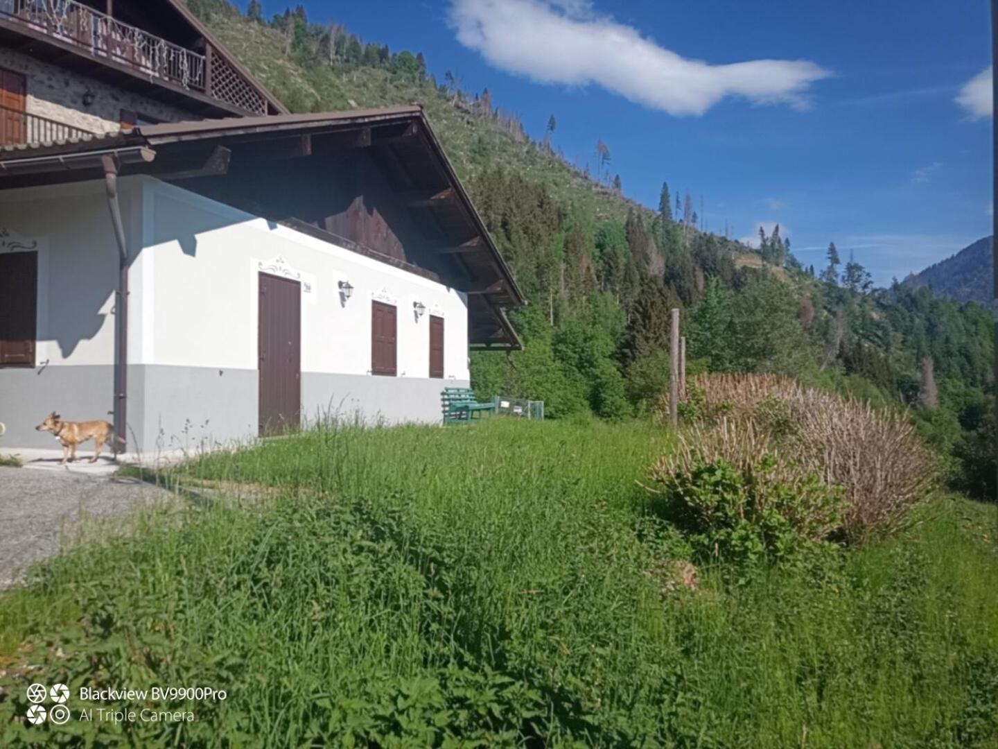 "La Casina" Relax e Natura a Canal San Bovo photo 4