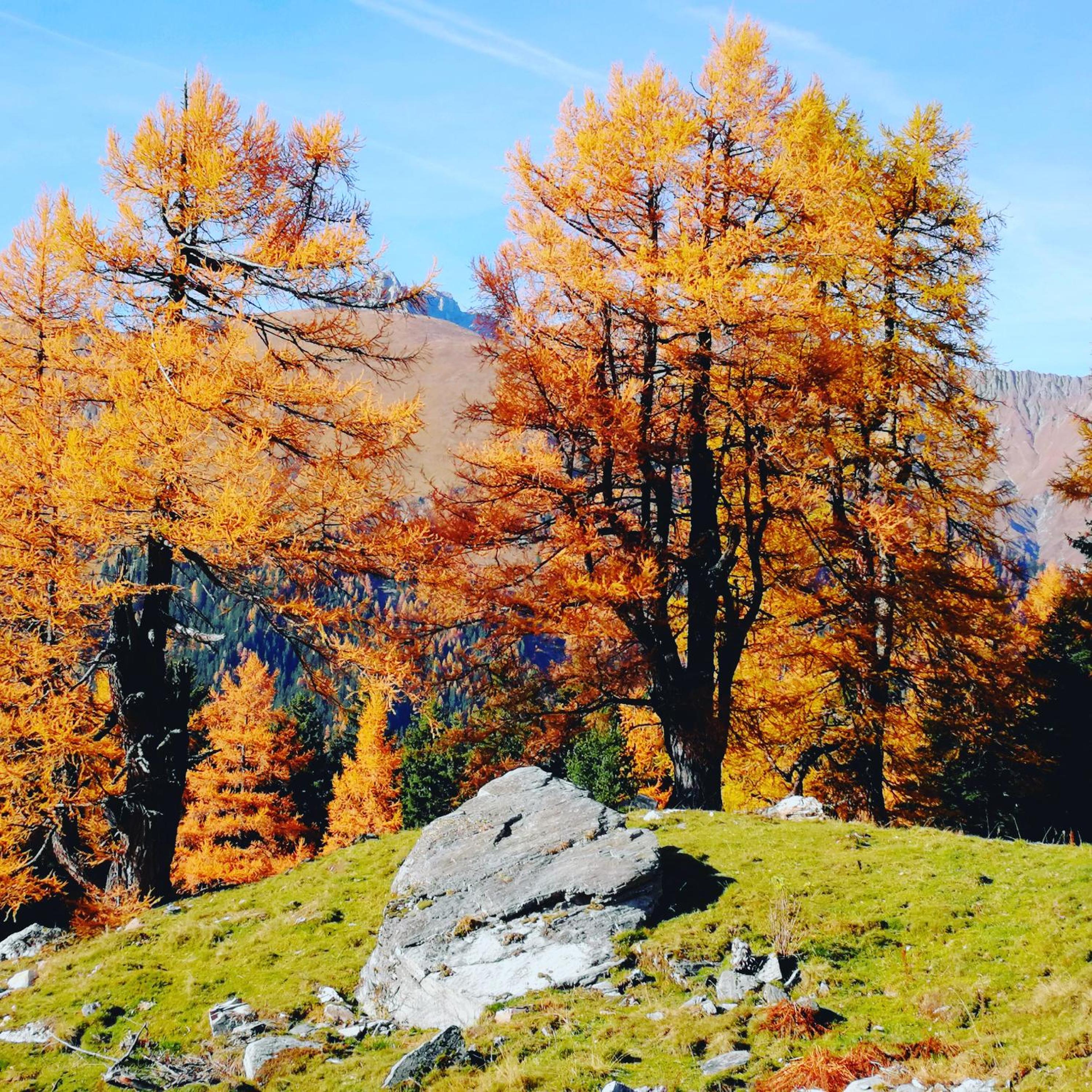 Berghäusl view 5