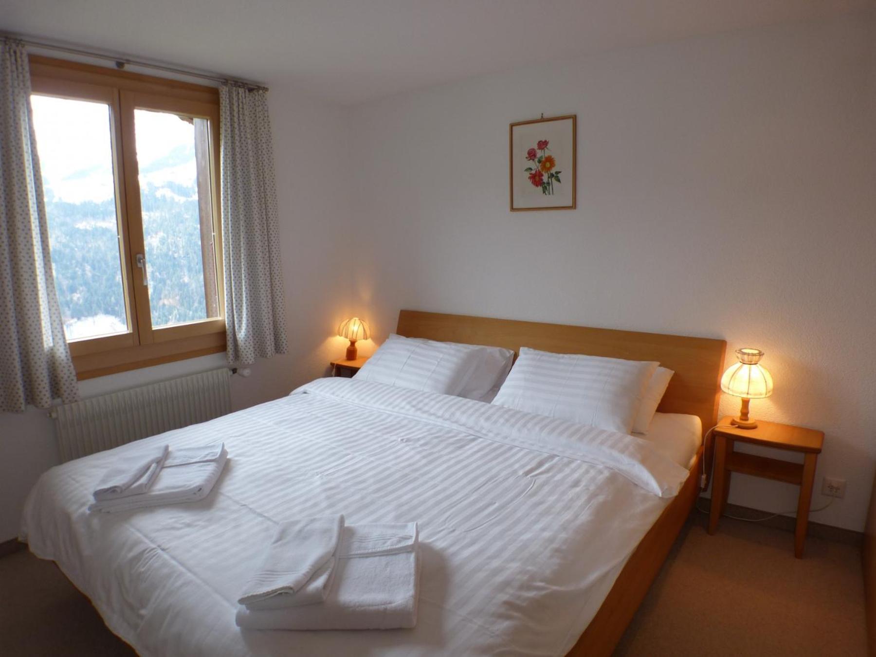 Chalet Eigersunne 2