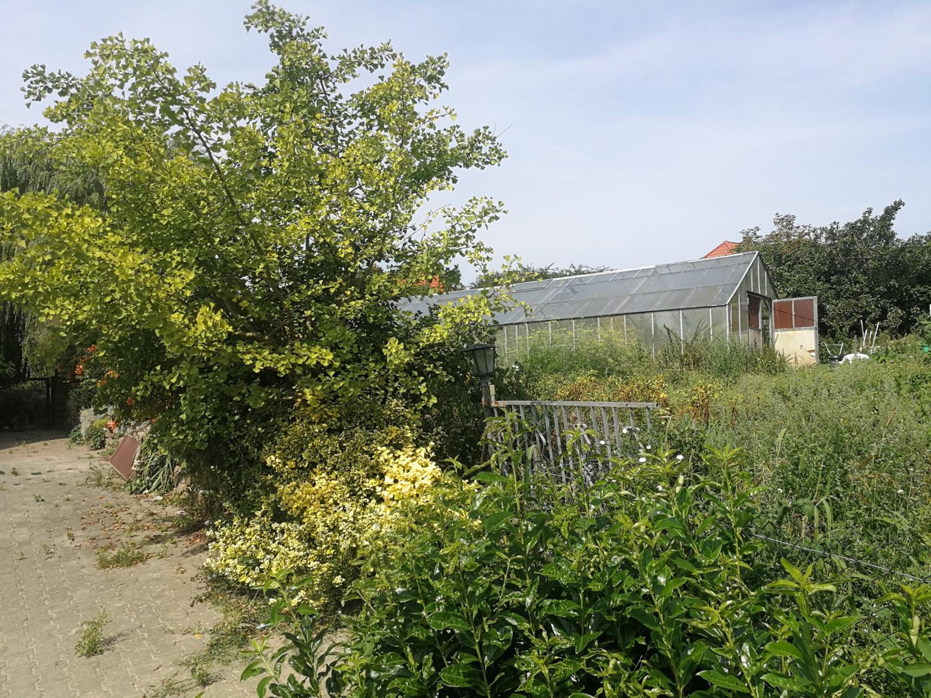 Jennys Hofladen