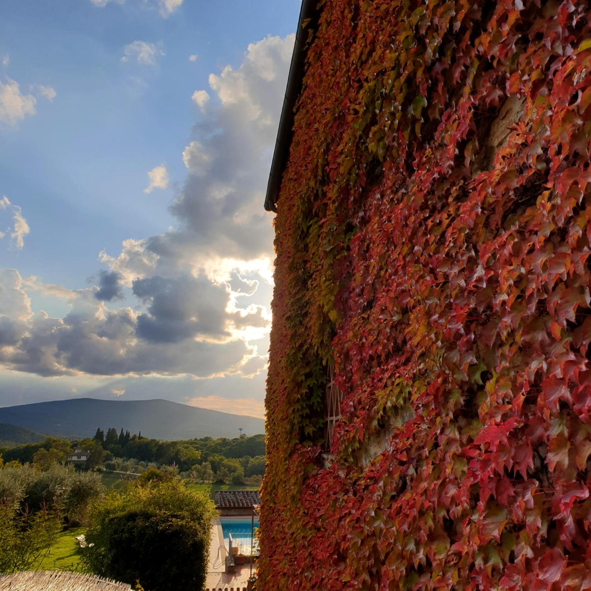 Fattoria Lornano Winery