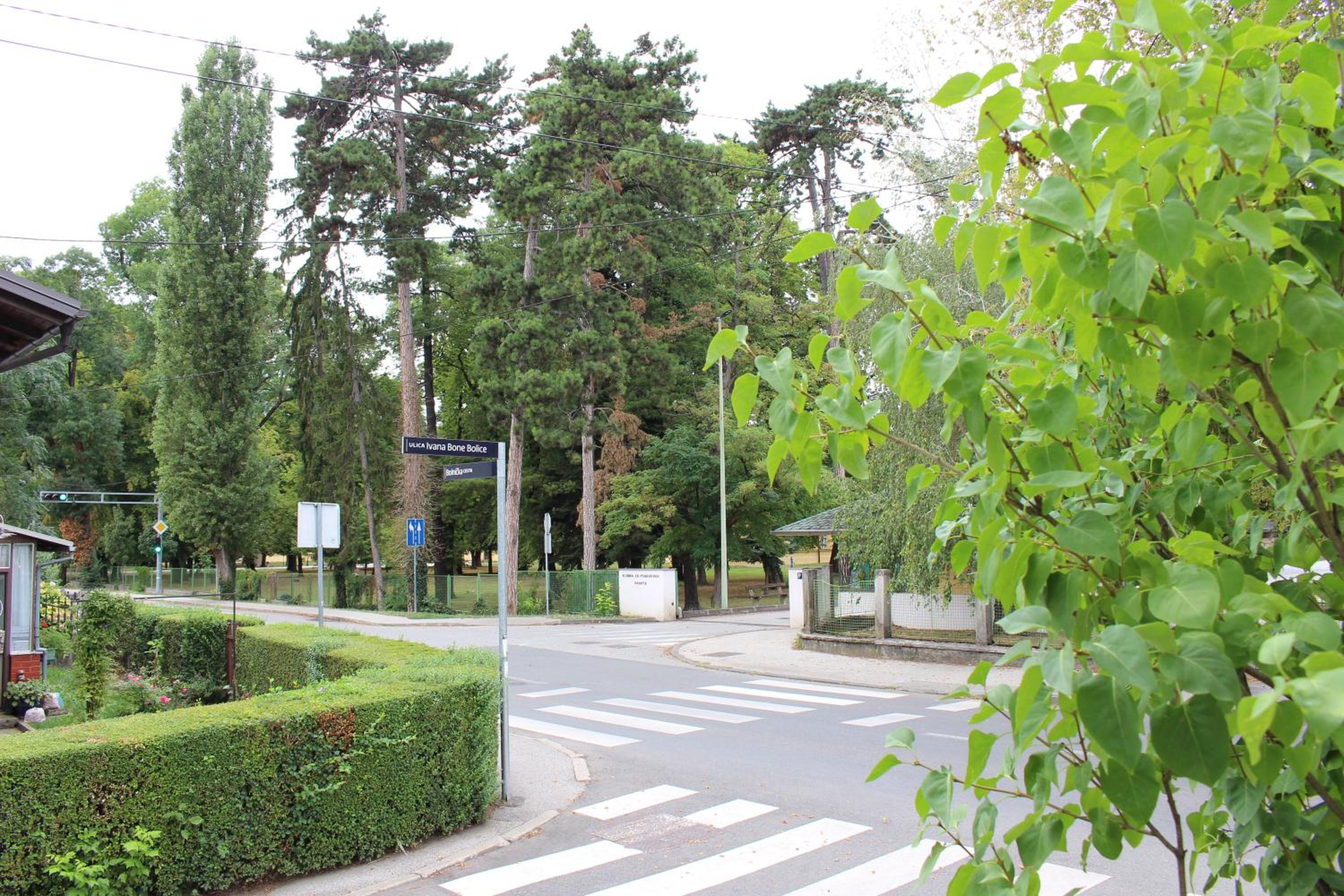 Photo 10
