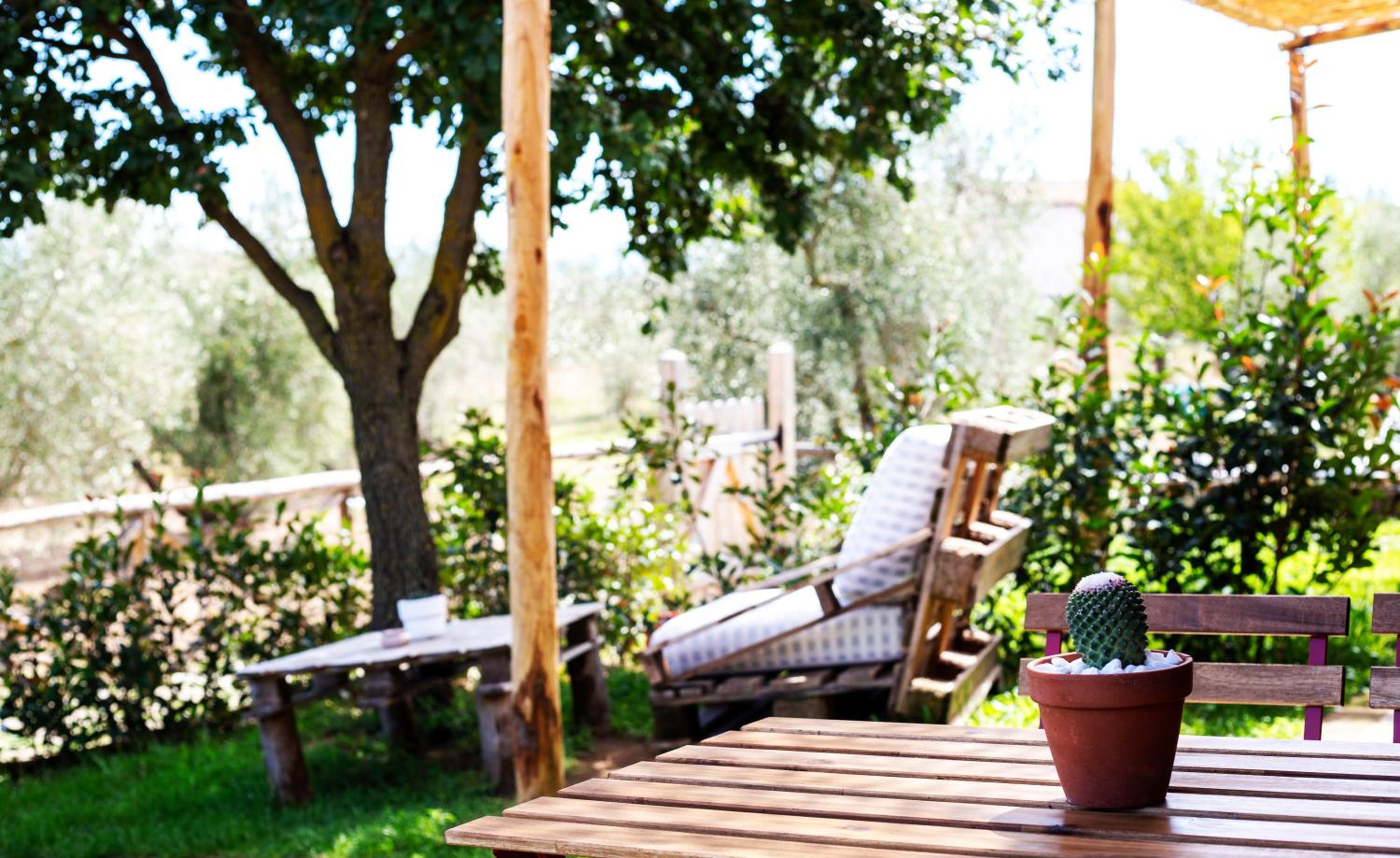 Agriturismo Poggio Degli Ulivi
