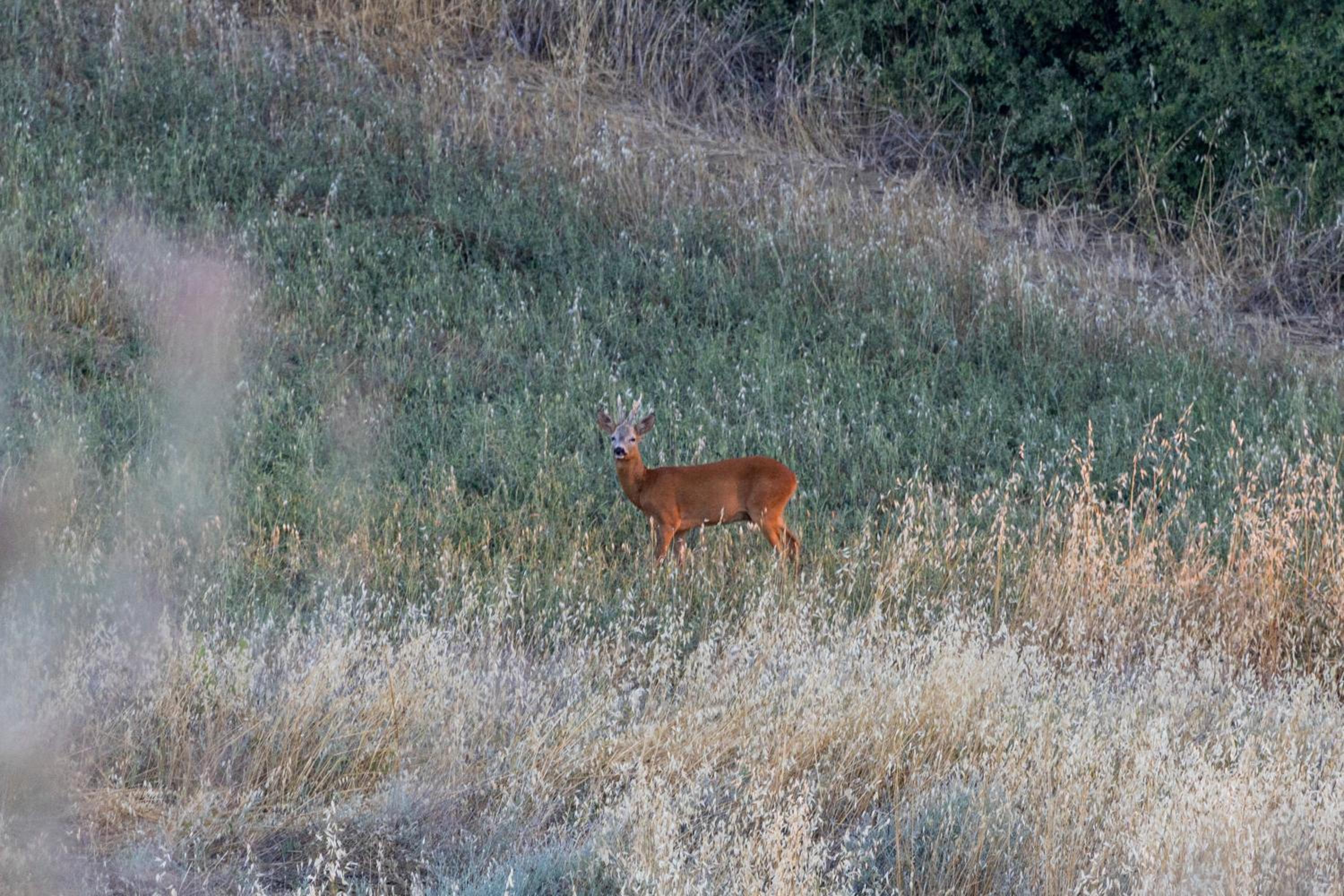 Vento d’Orcia