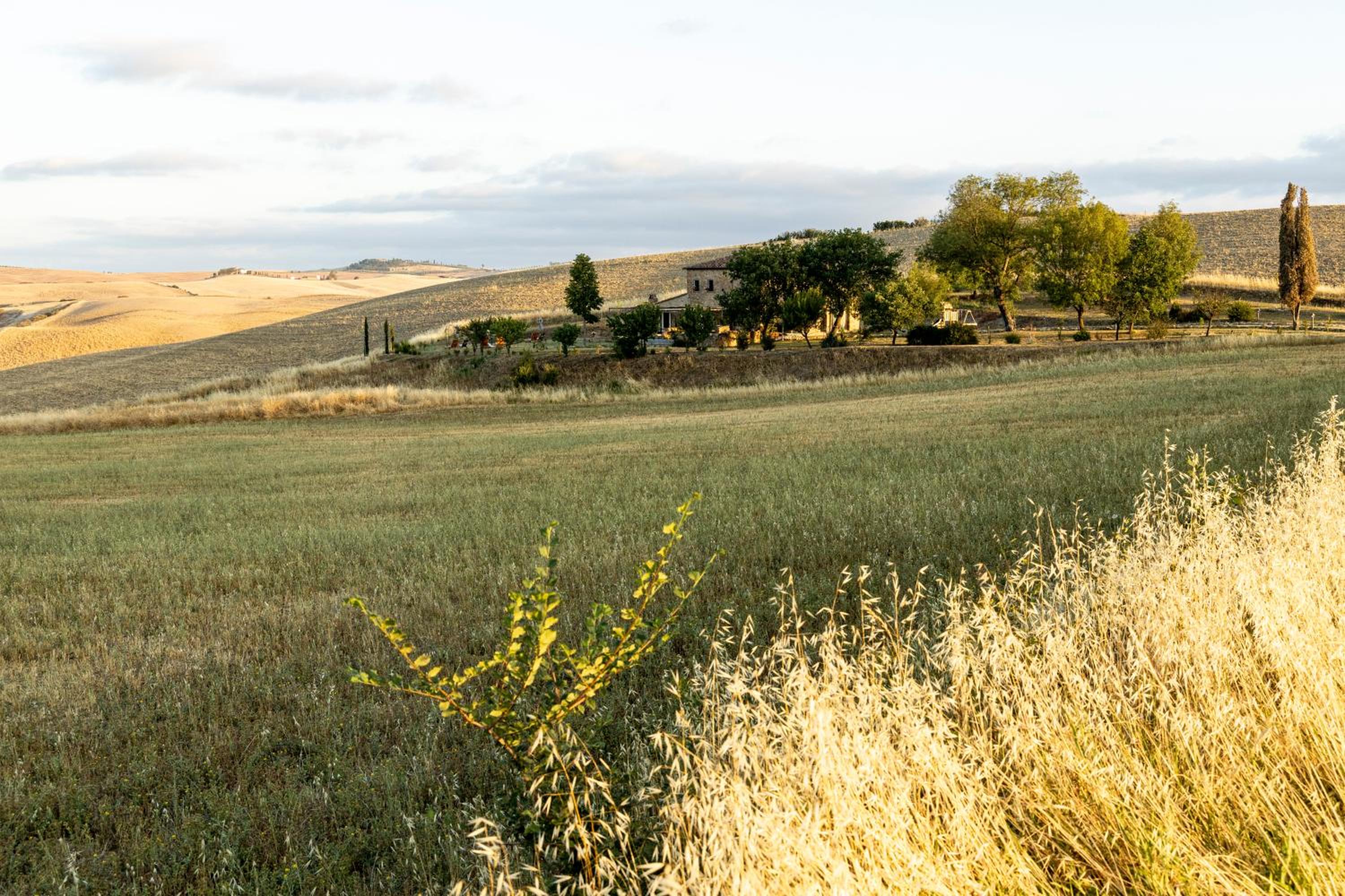Vento d’Orcia