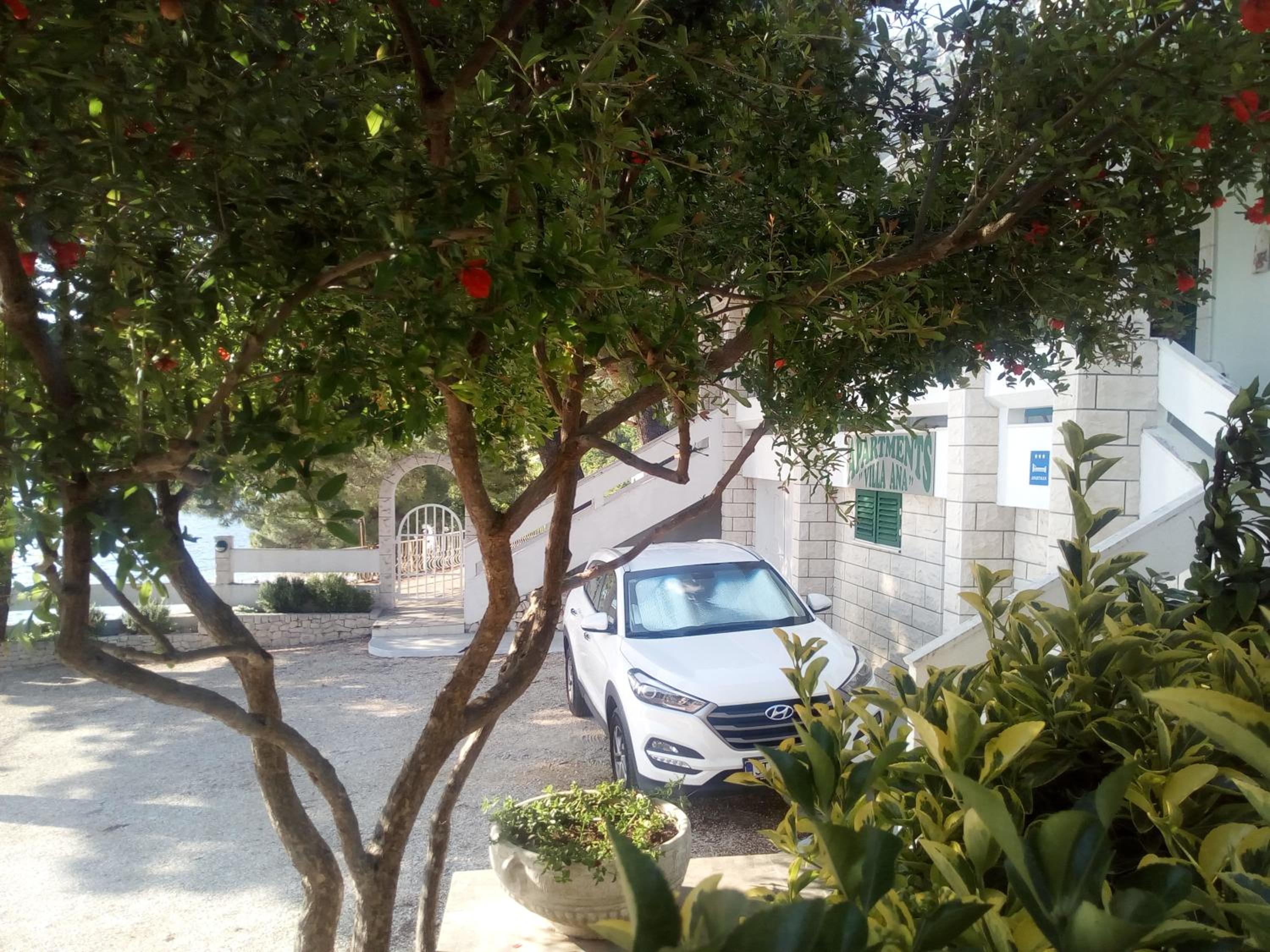 Photo 33