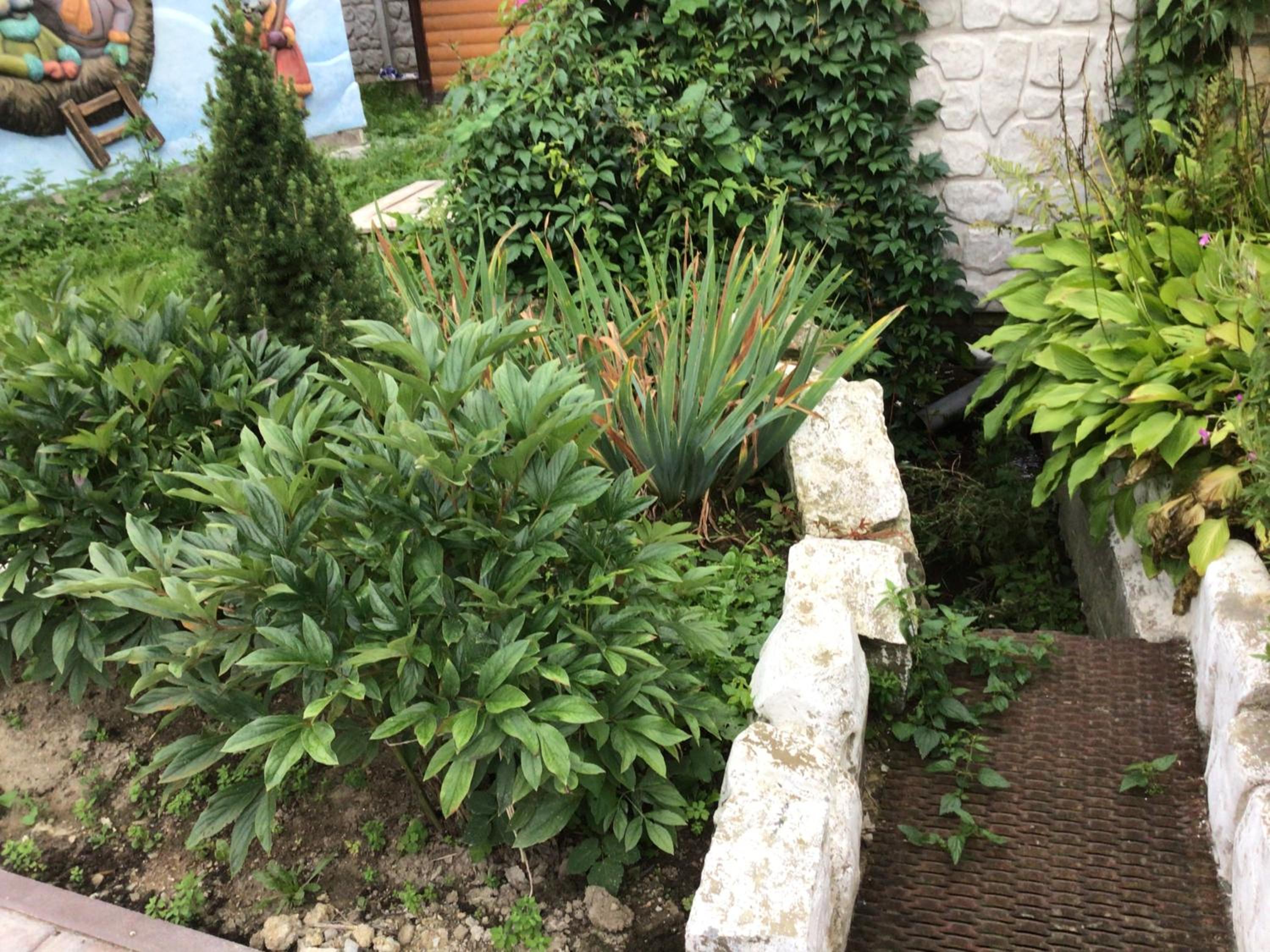 Photo 14