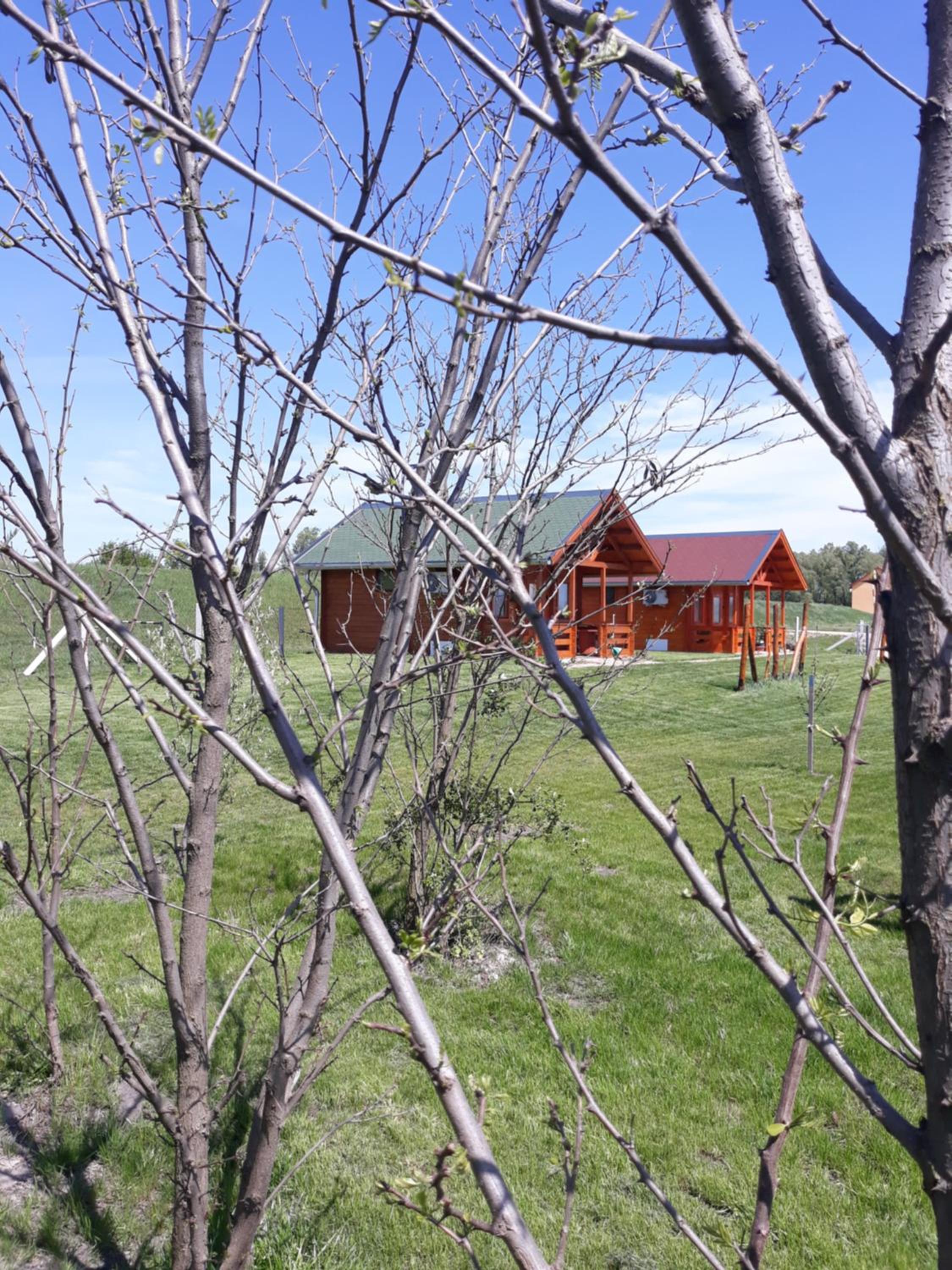 Photo 42