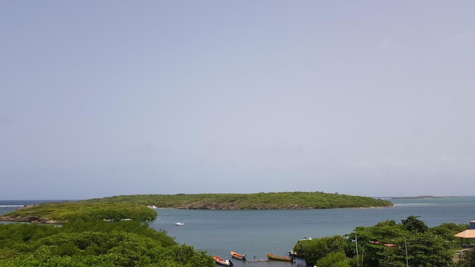 Photo 46