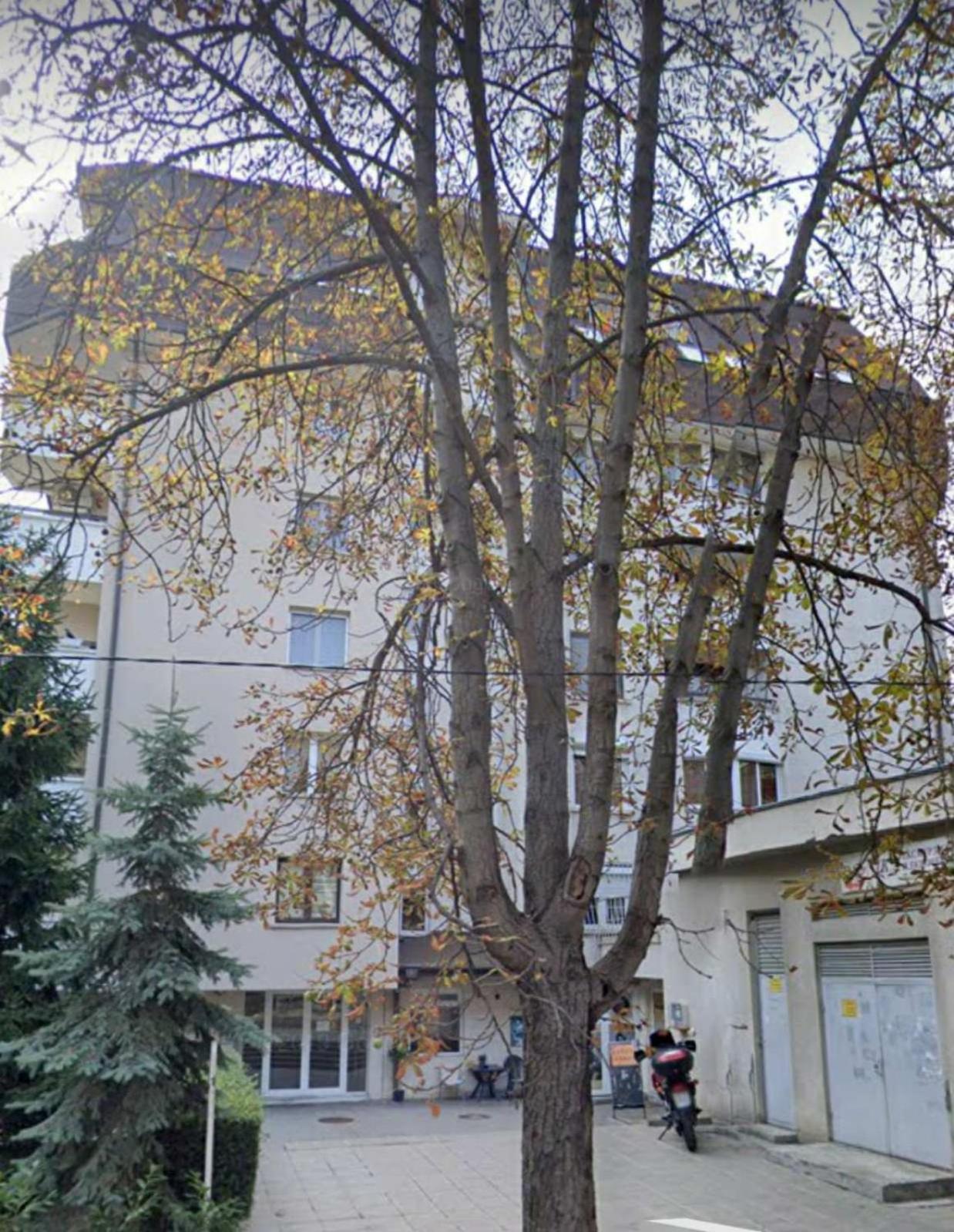 Photo 9