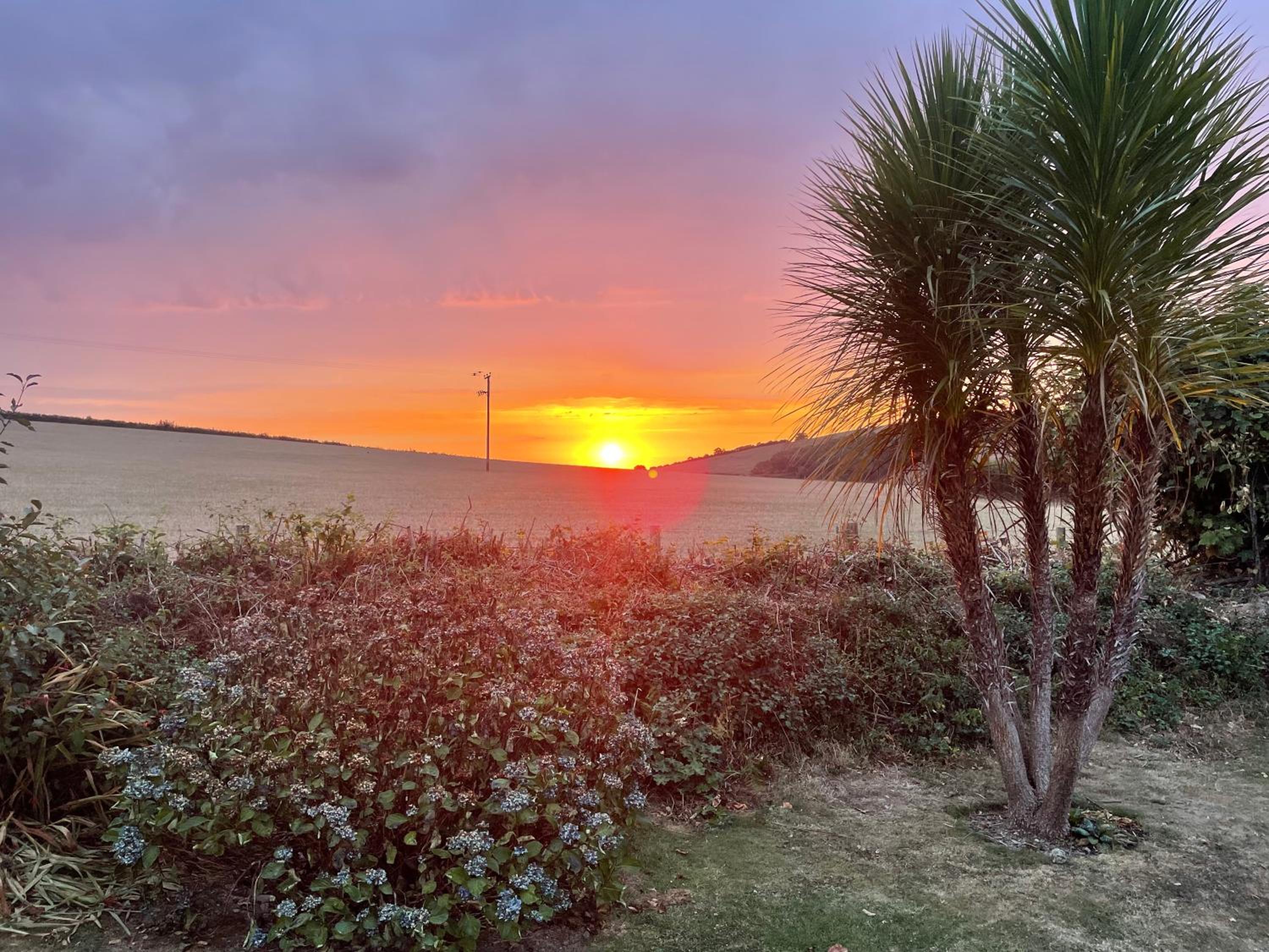 Westerley Country B & B with exclusive Guest lounge view 3