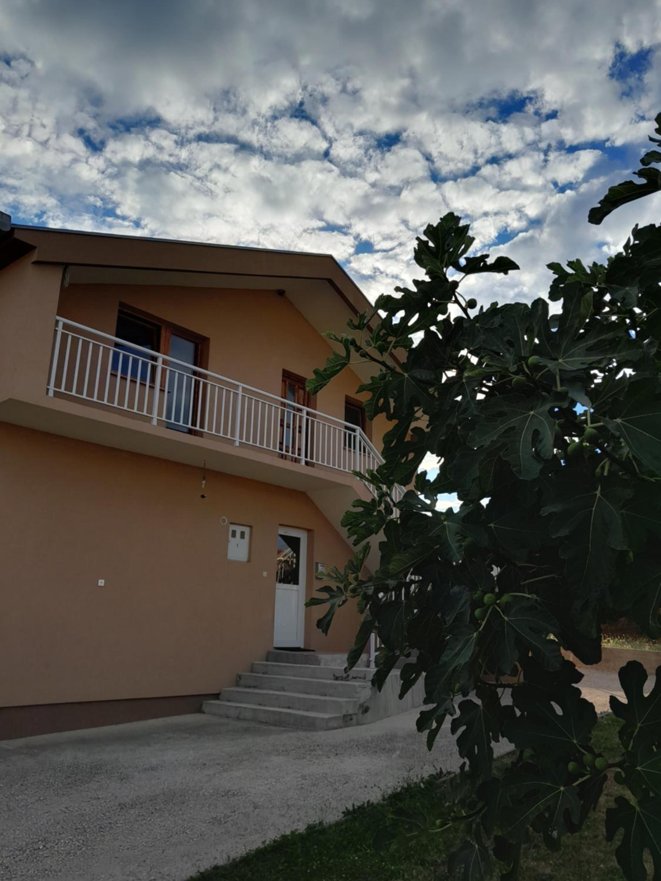MARIA'S HOUSE
