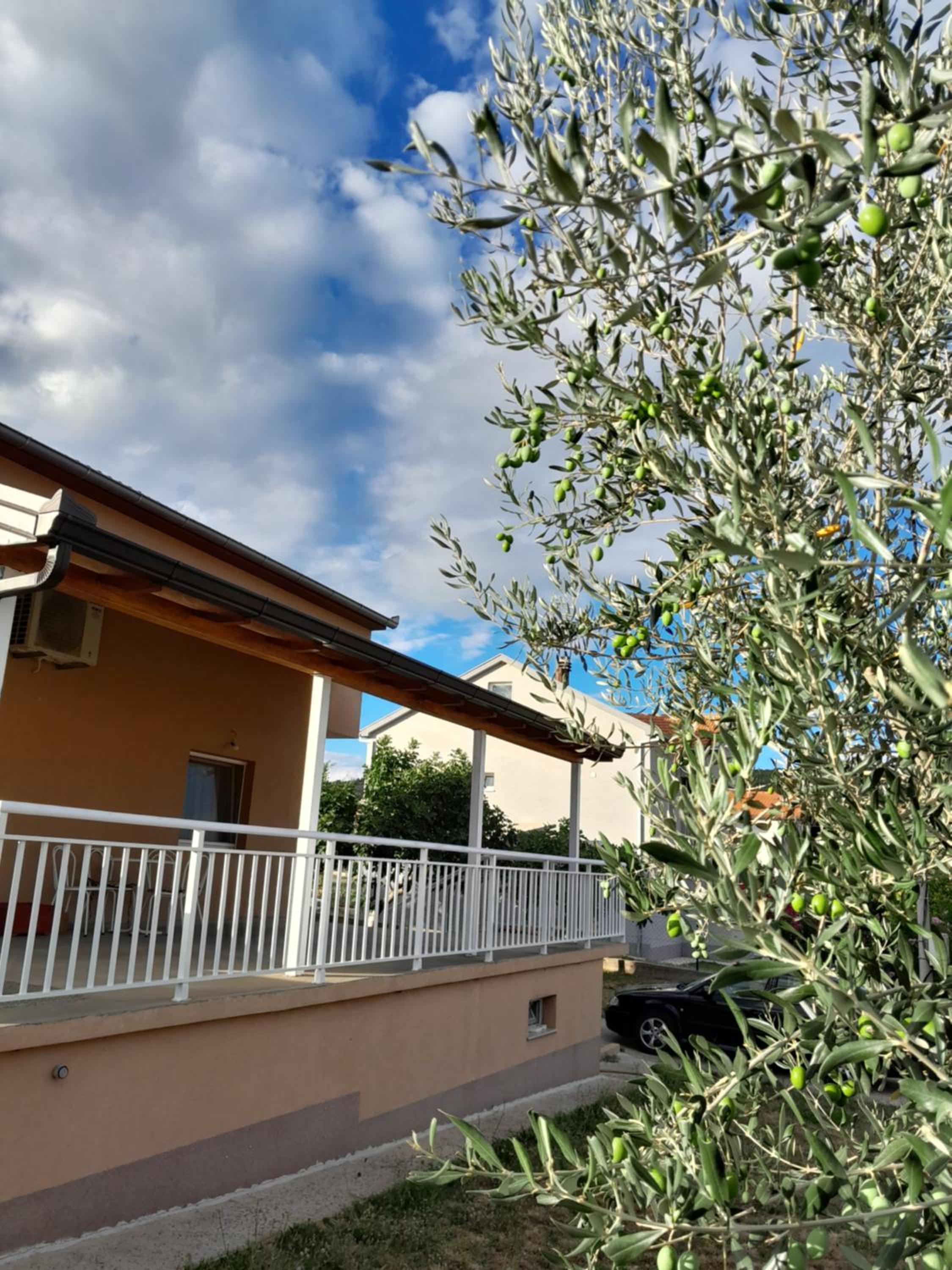 MARIA'S HOUSE
