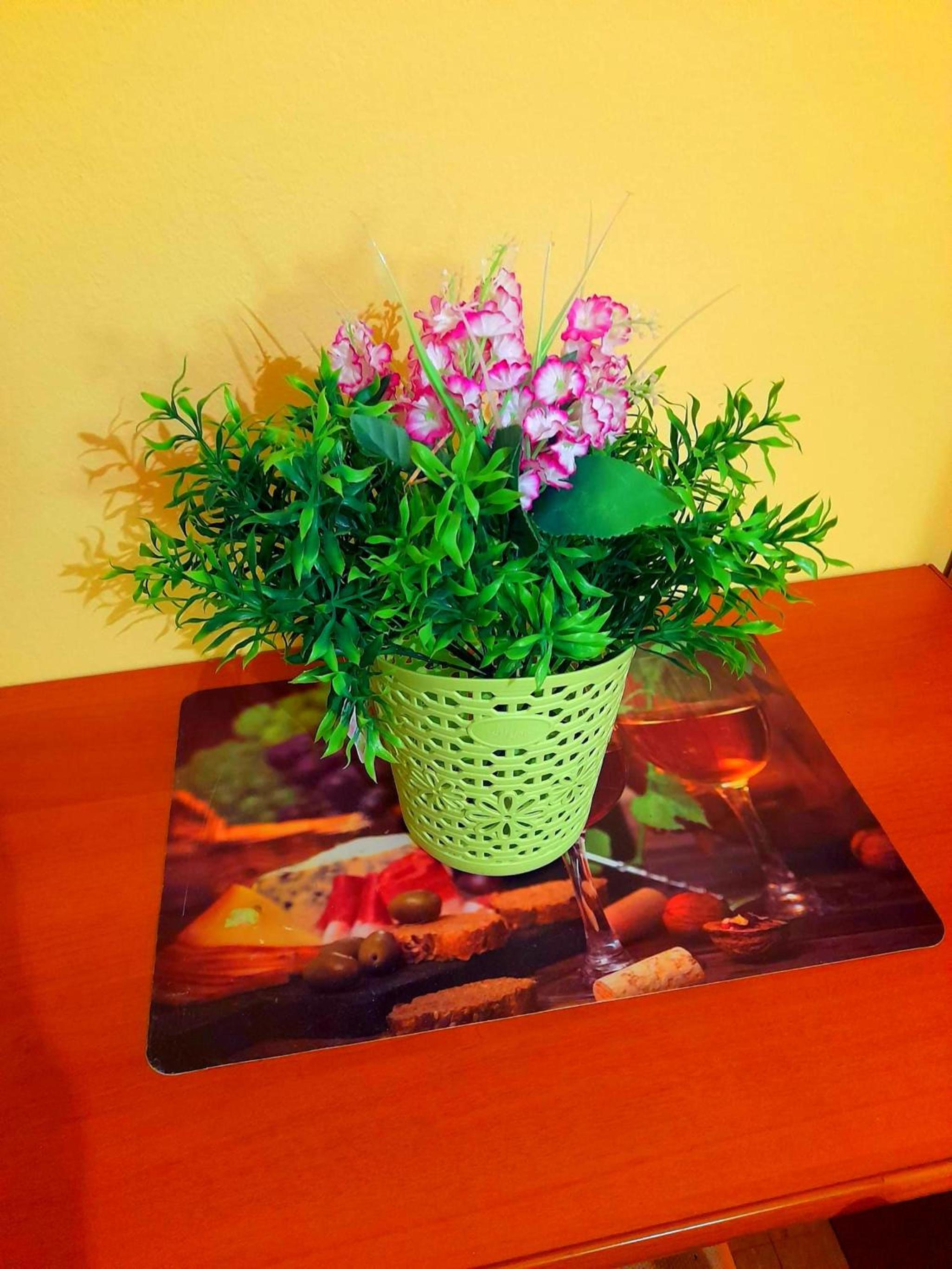 Photo 44