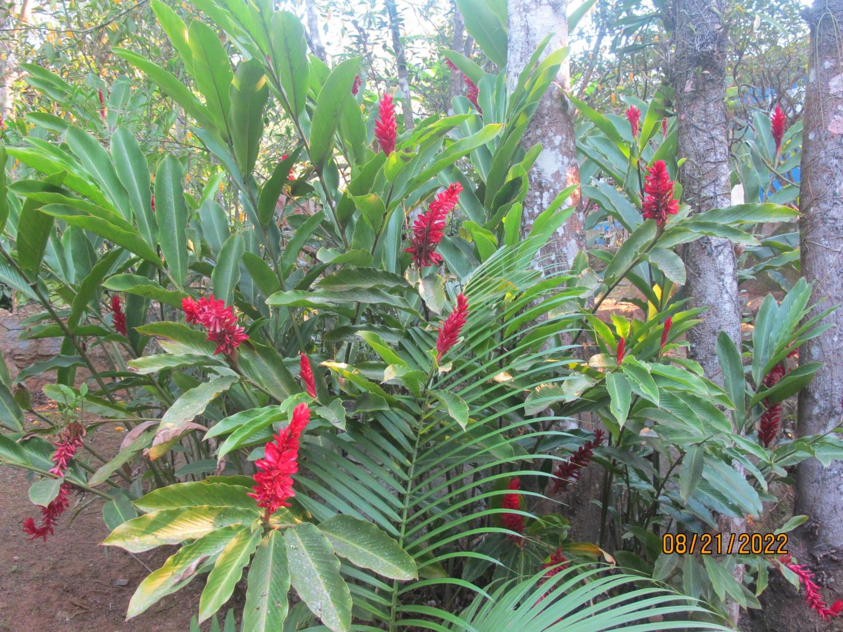Photo 47